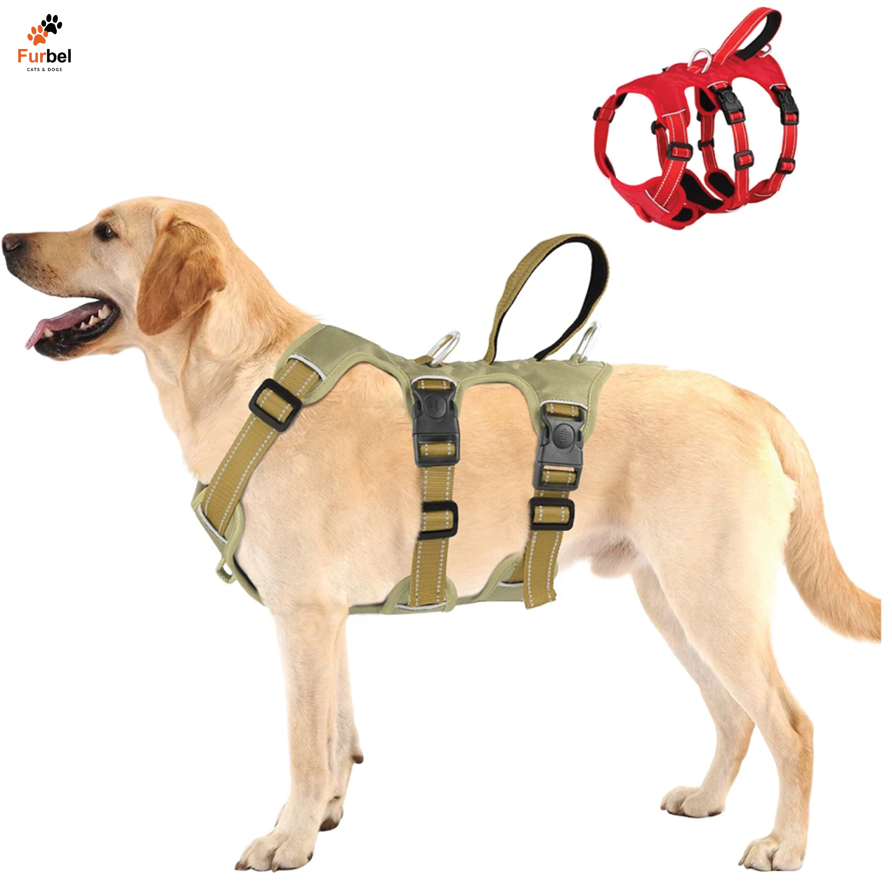 Waterproof Reflective Harness For Dogs