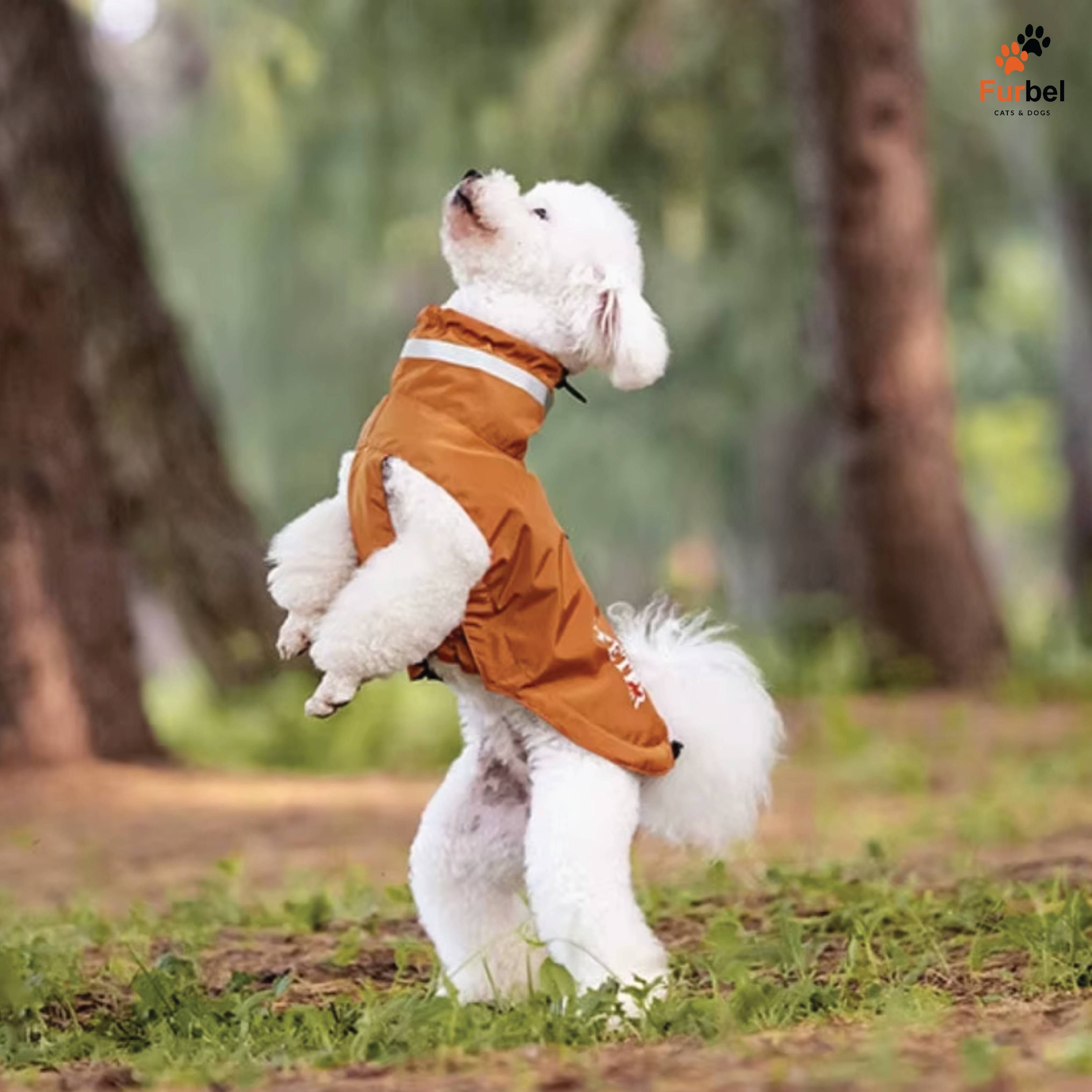 Waterproof Dog Raincoat