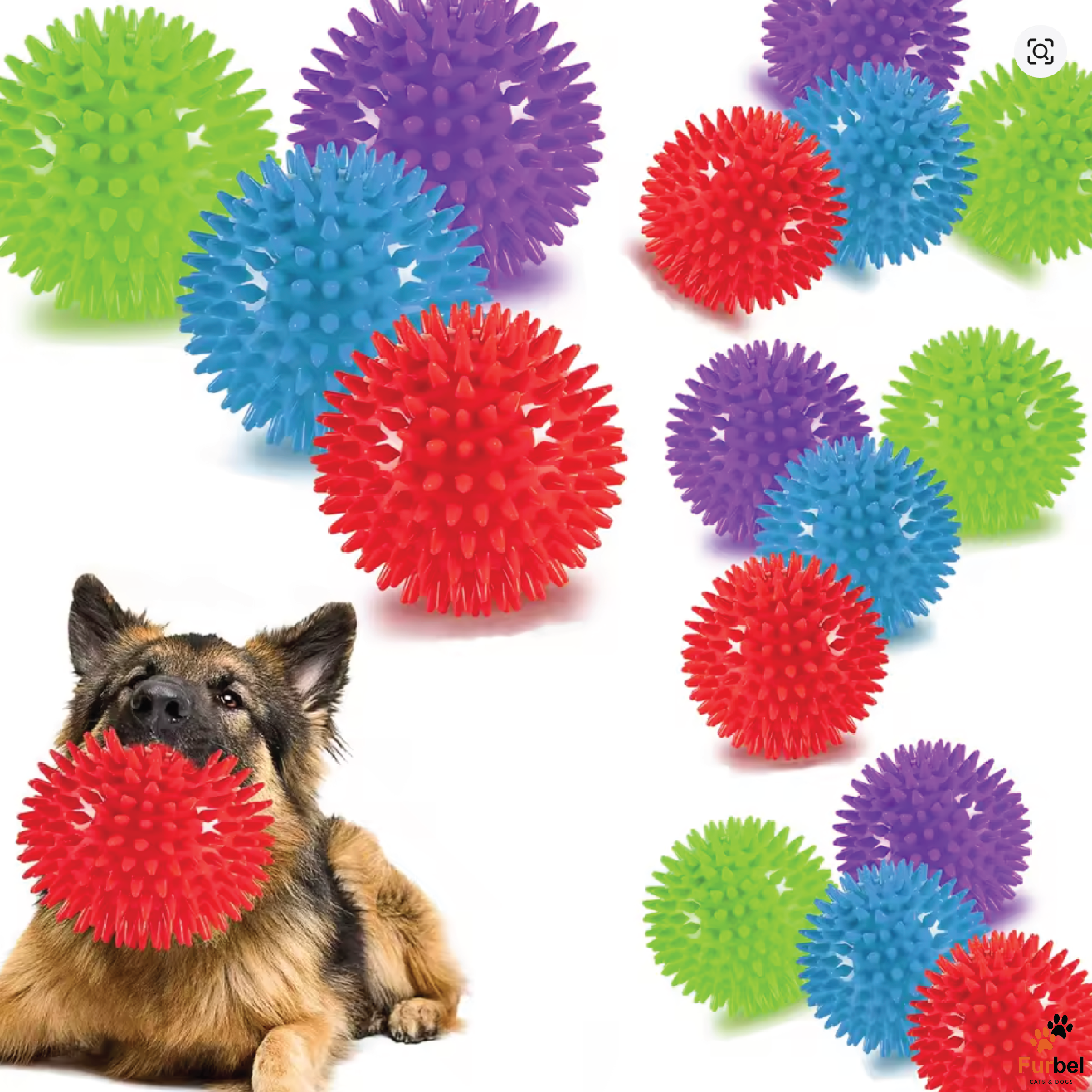 Mixed Colour Squeaky Spiky Dog Chew Toy