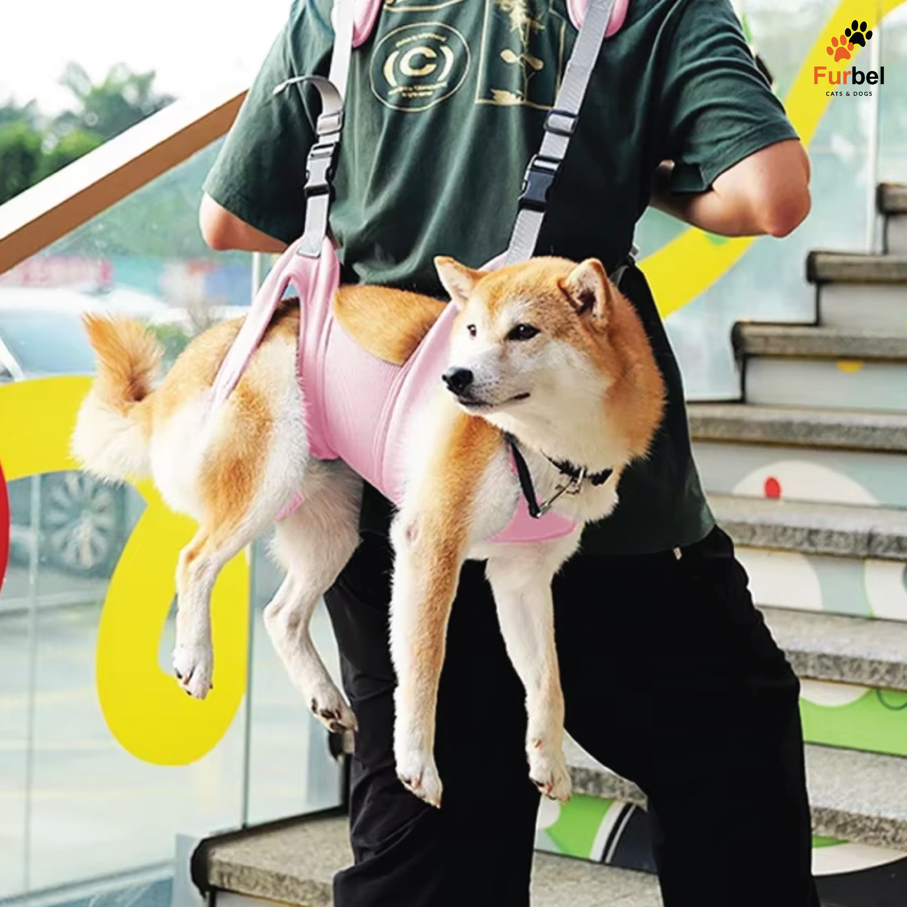 Pet Carrying Harness