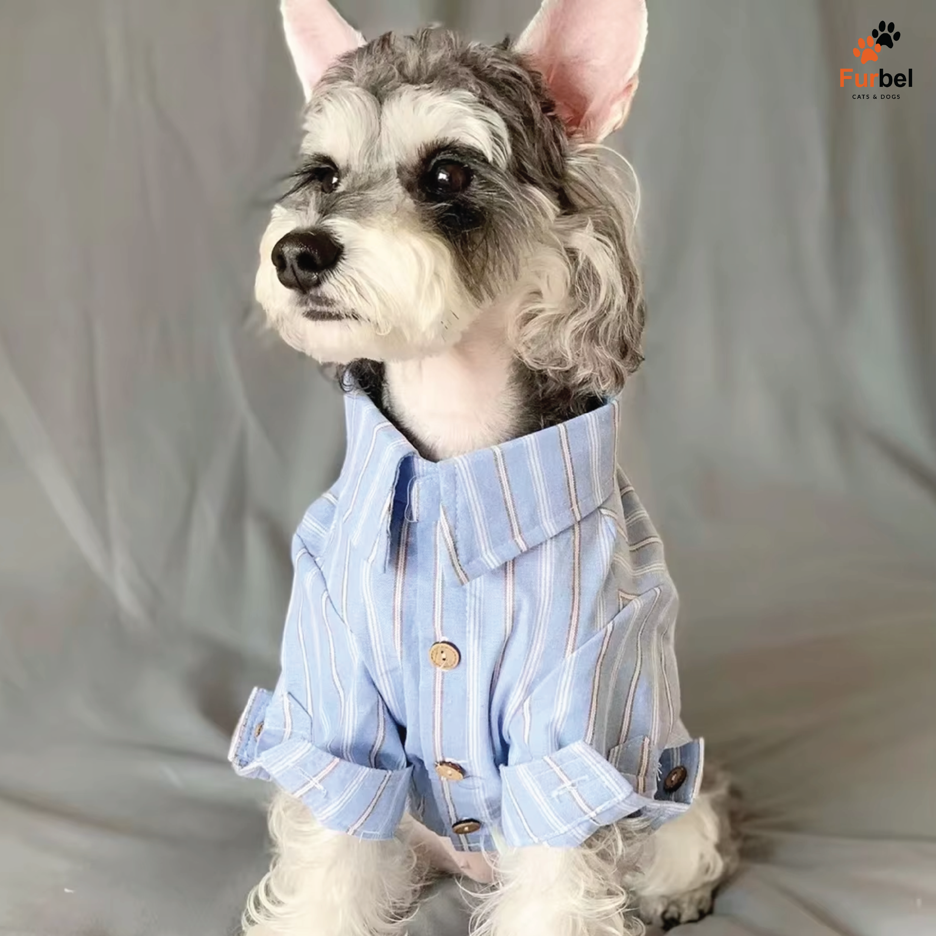 Striped Shirt for Cats & Dogs