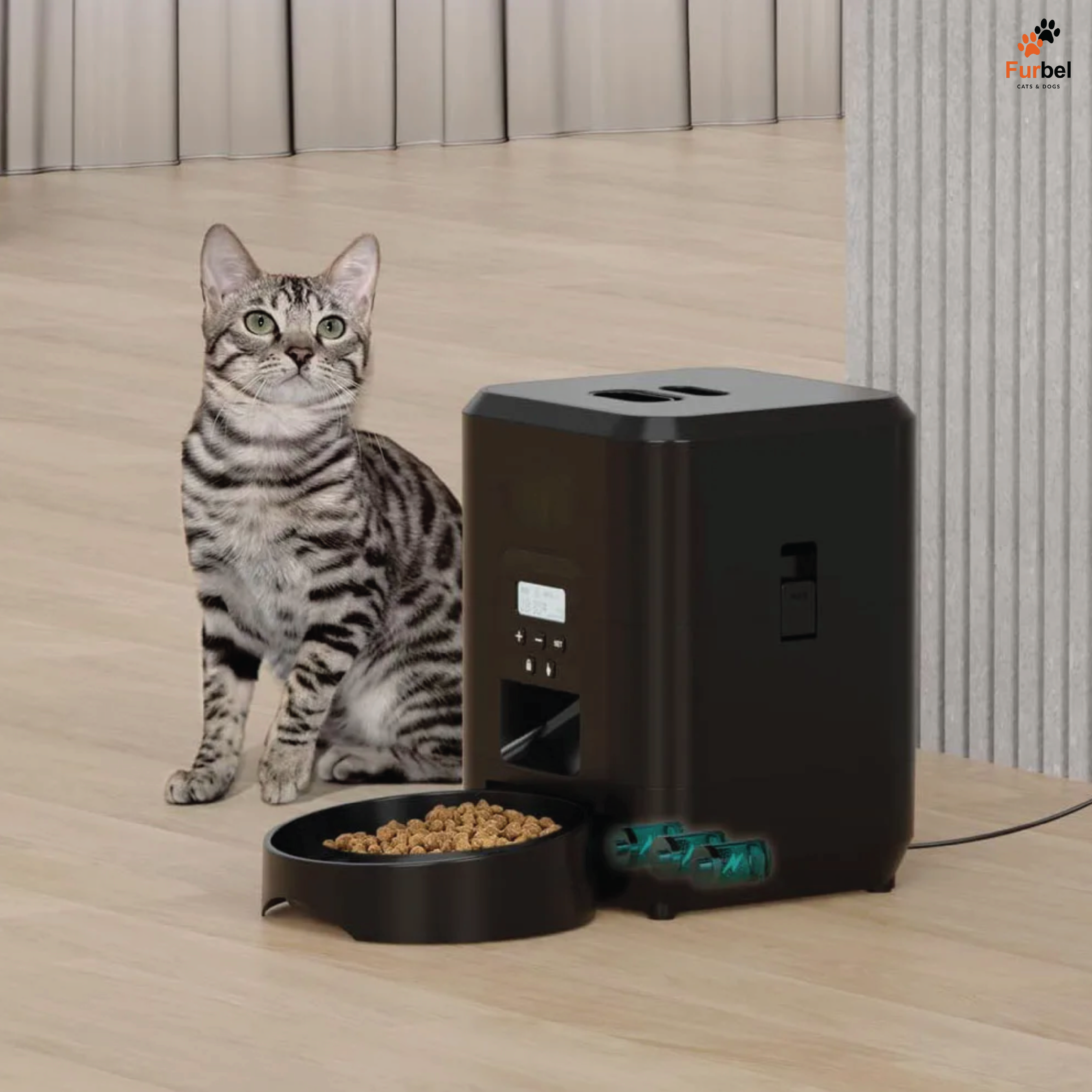 Automatic Pet Feeder For Cats And Dogs