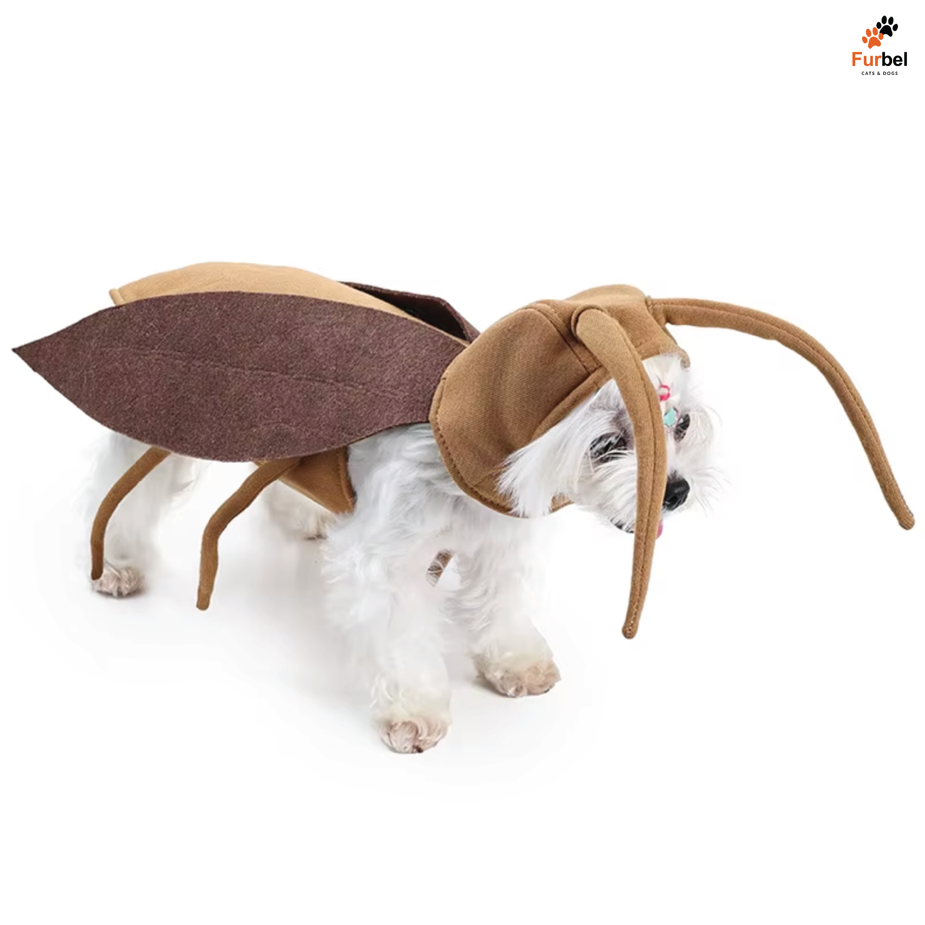 Cockroach Halloween Costume For Cats and Small Dogs