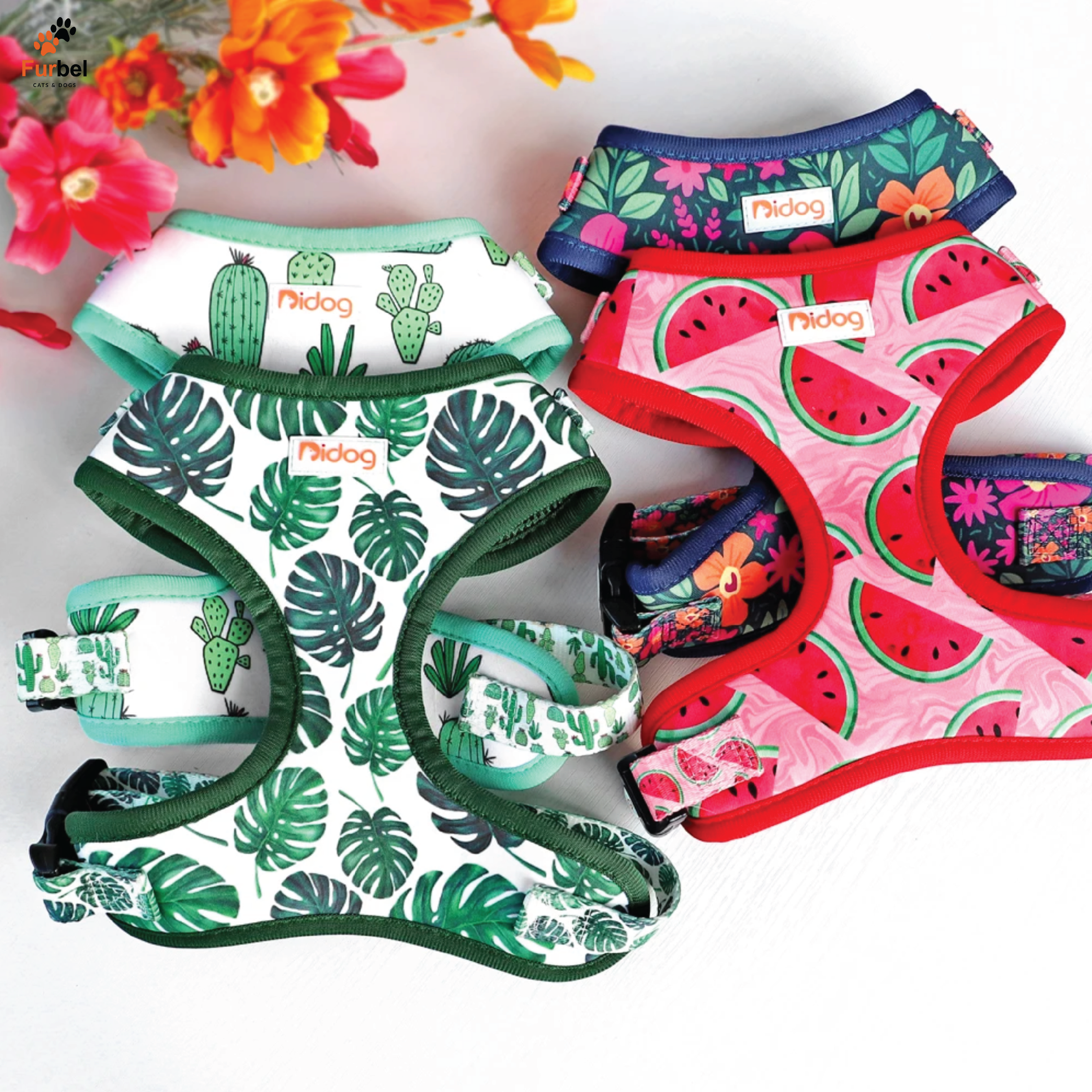 Bright Print Padded Harness For Dogs