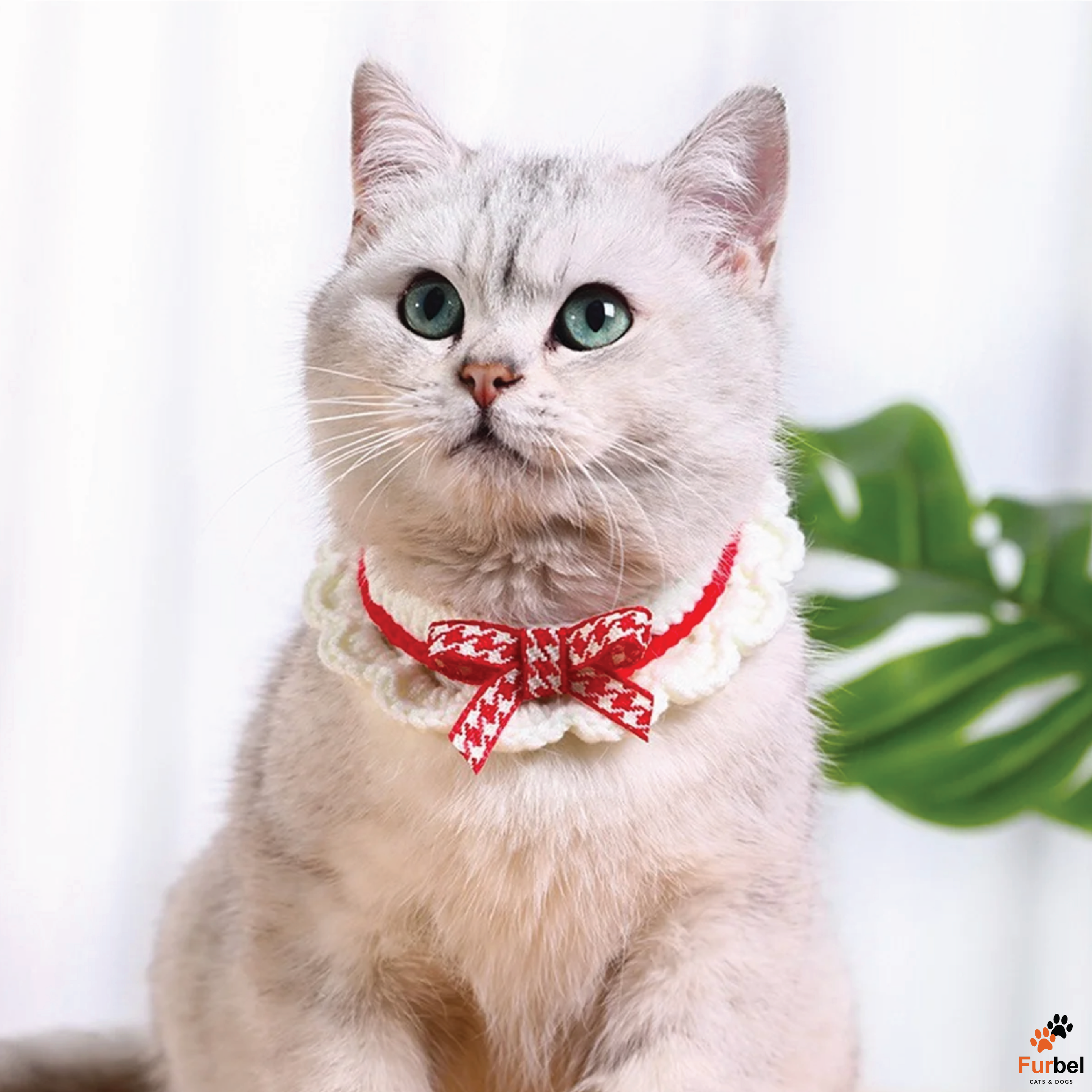 Cute Hand-Knitted Bow Collar for Cats