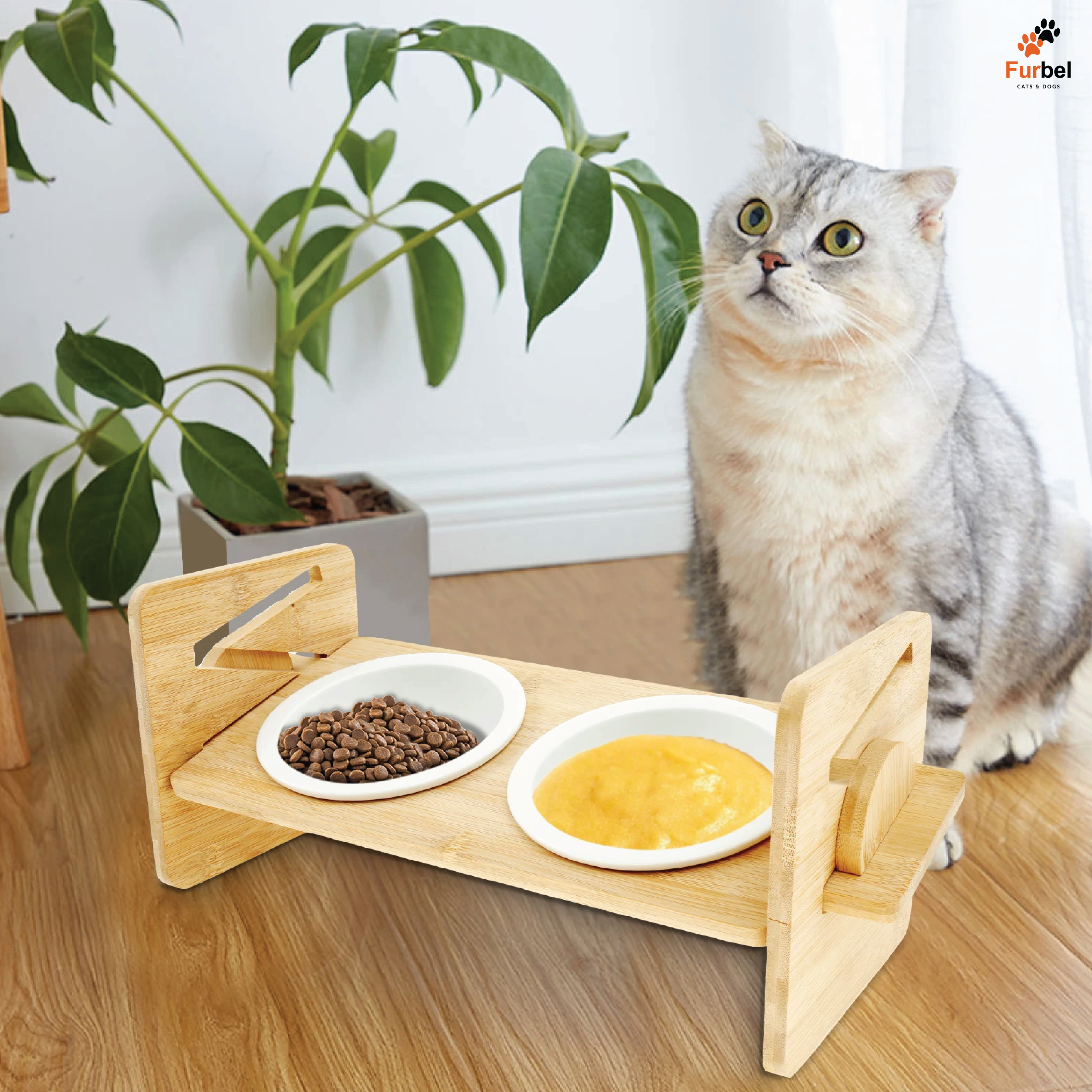 Adjustable Elevated Bowls For Cats And Dogs