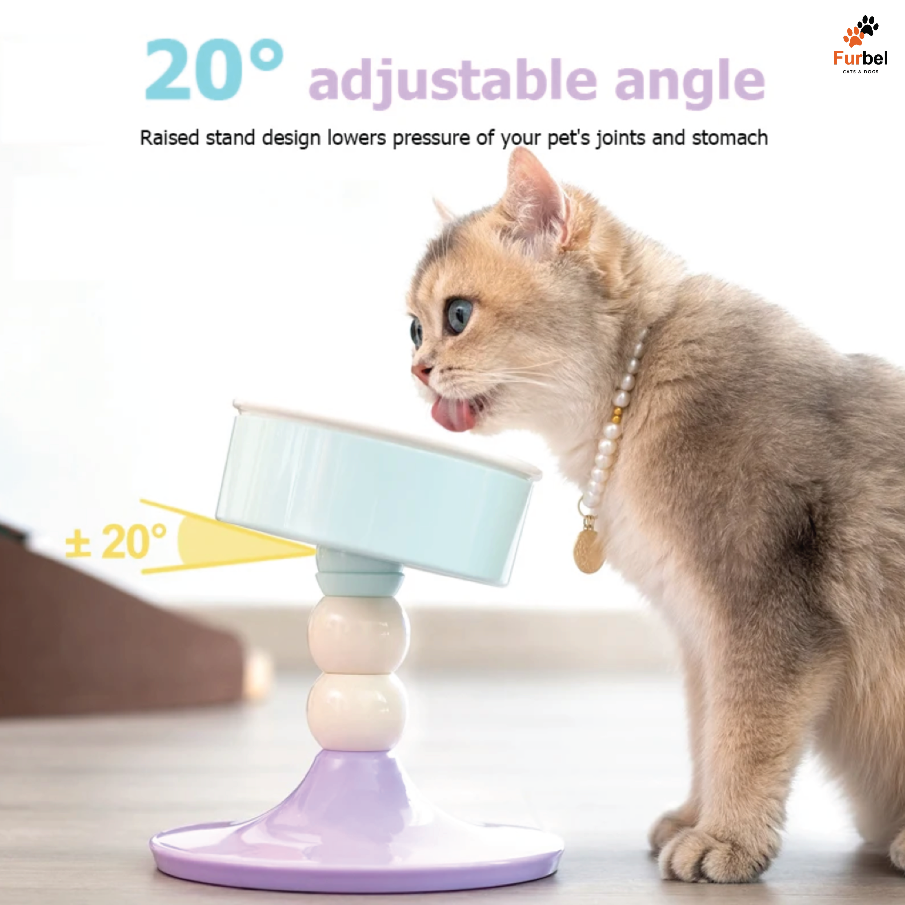 Elevated Ceramic Bowl For Cats And Dogs