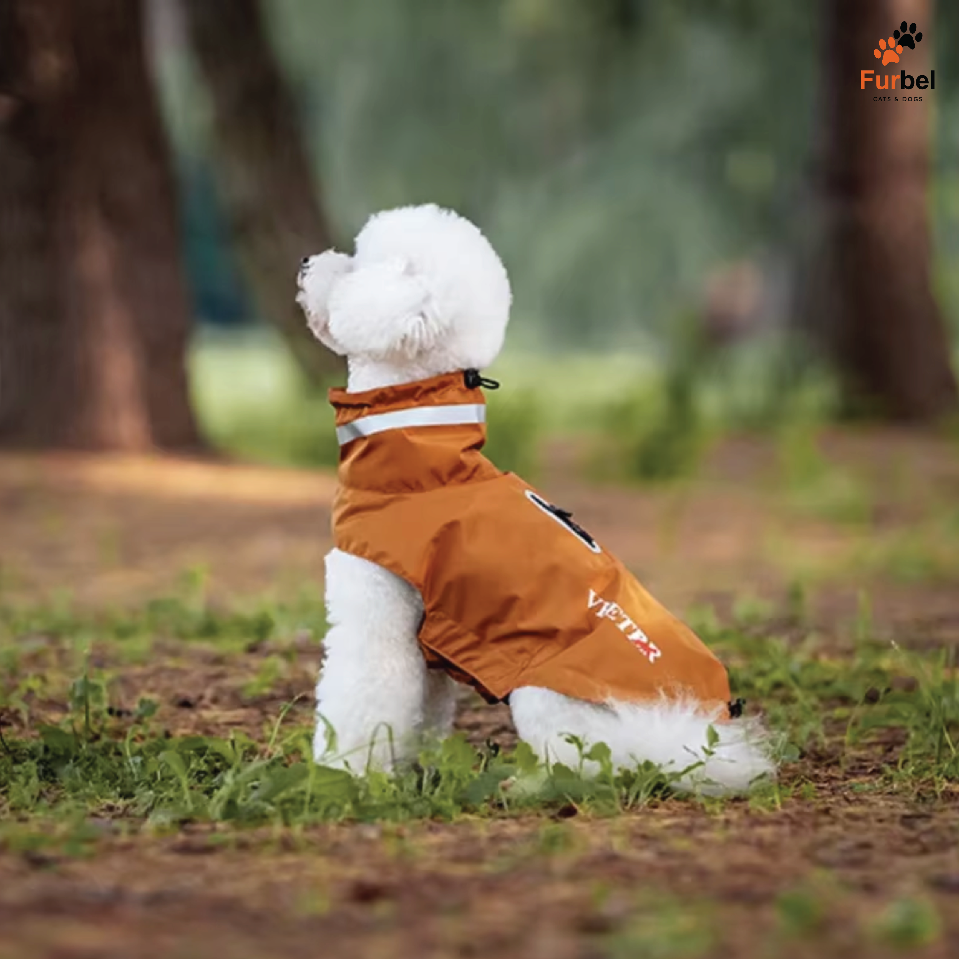 Waterproof Dog Raincoat