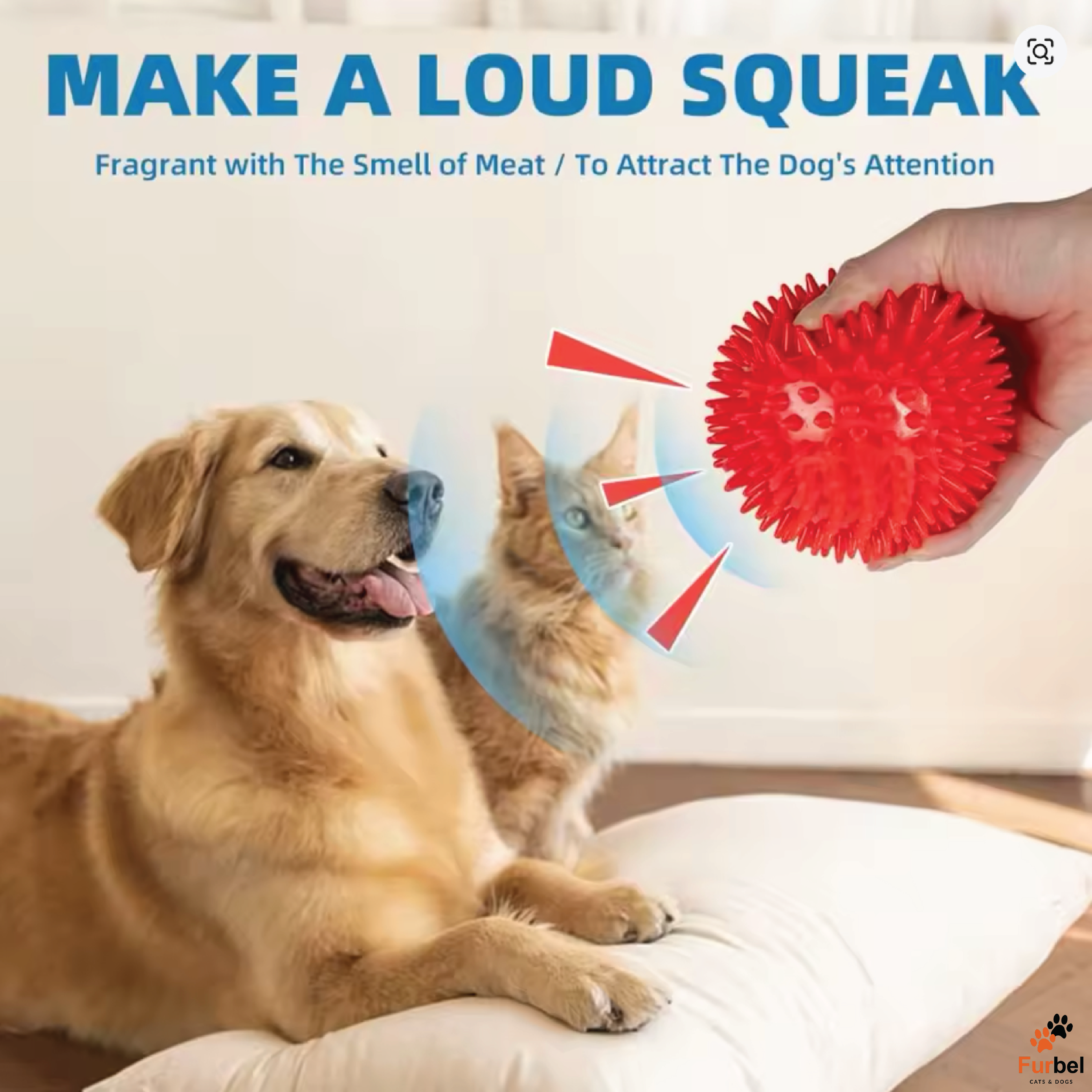 Mixed Colour Squeaky Spiky Dog Chew Toy