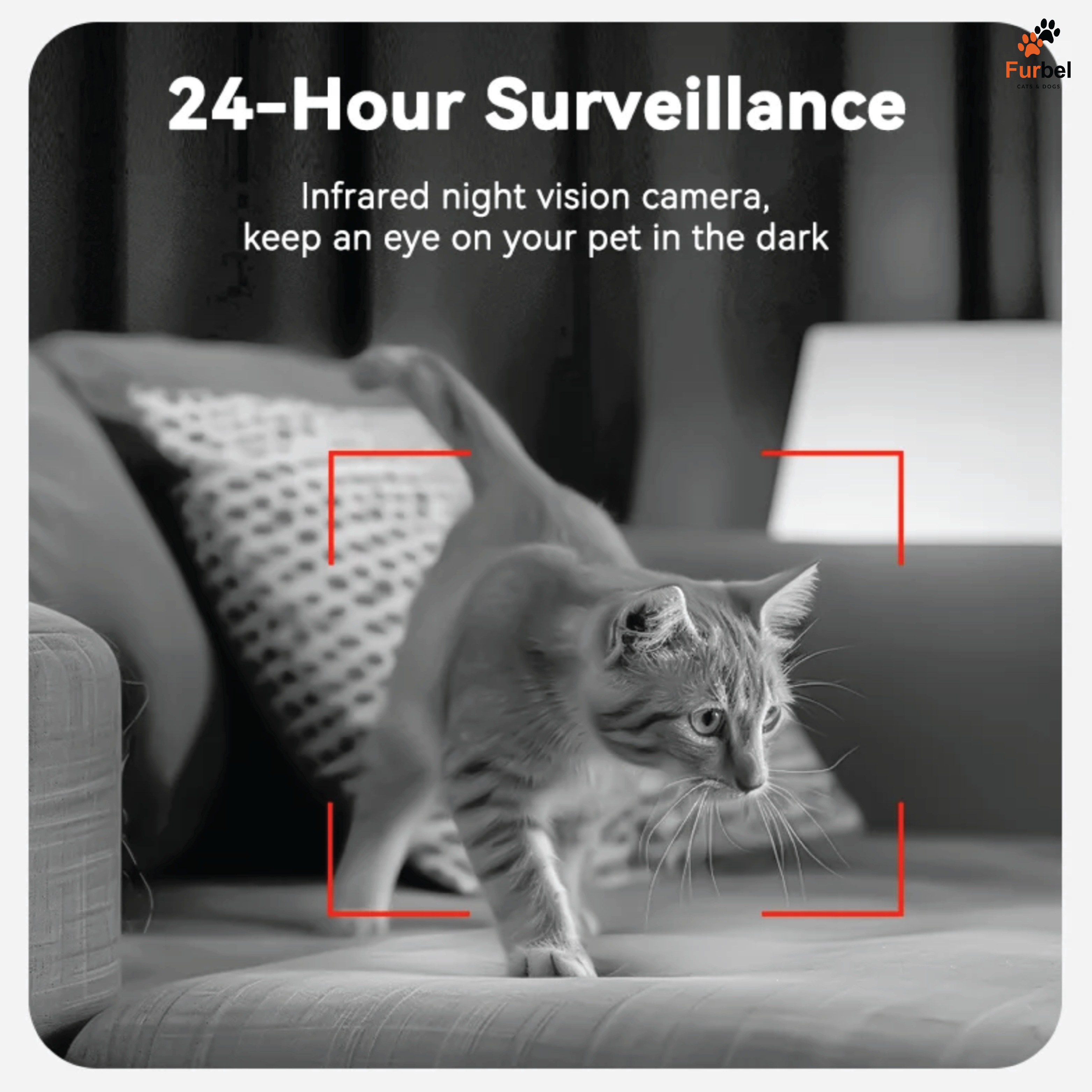 Smart Pet Feeder For Cats And Dogs