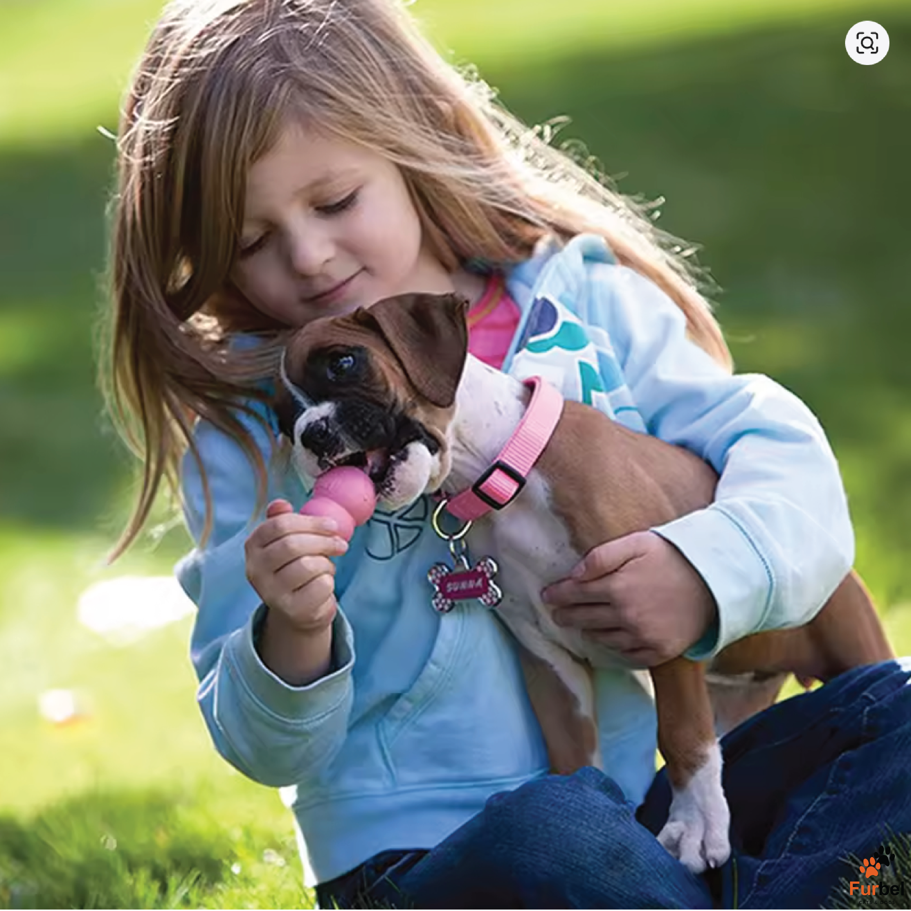 Kong Puppy Chew Treat Toy (All Sizes)