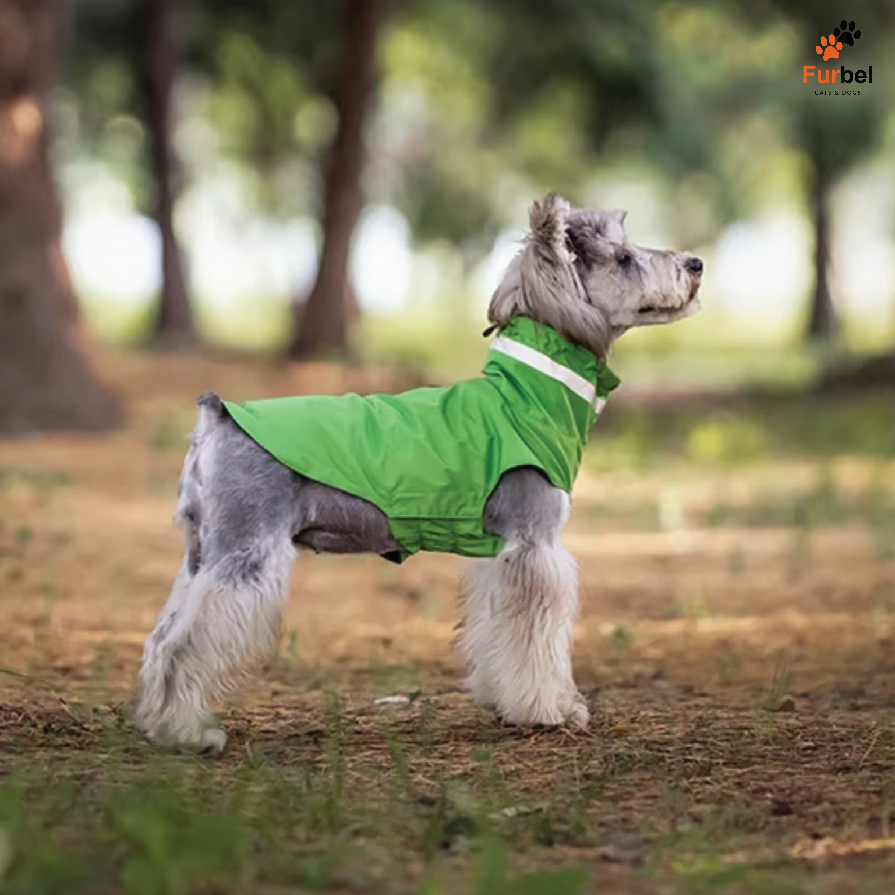 Waterproof Dog Raincoat