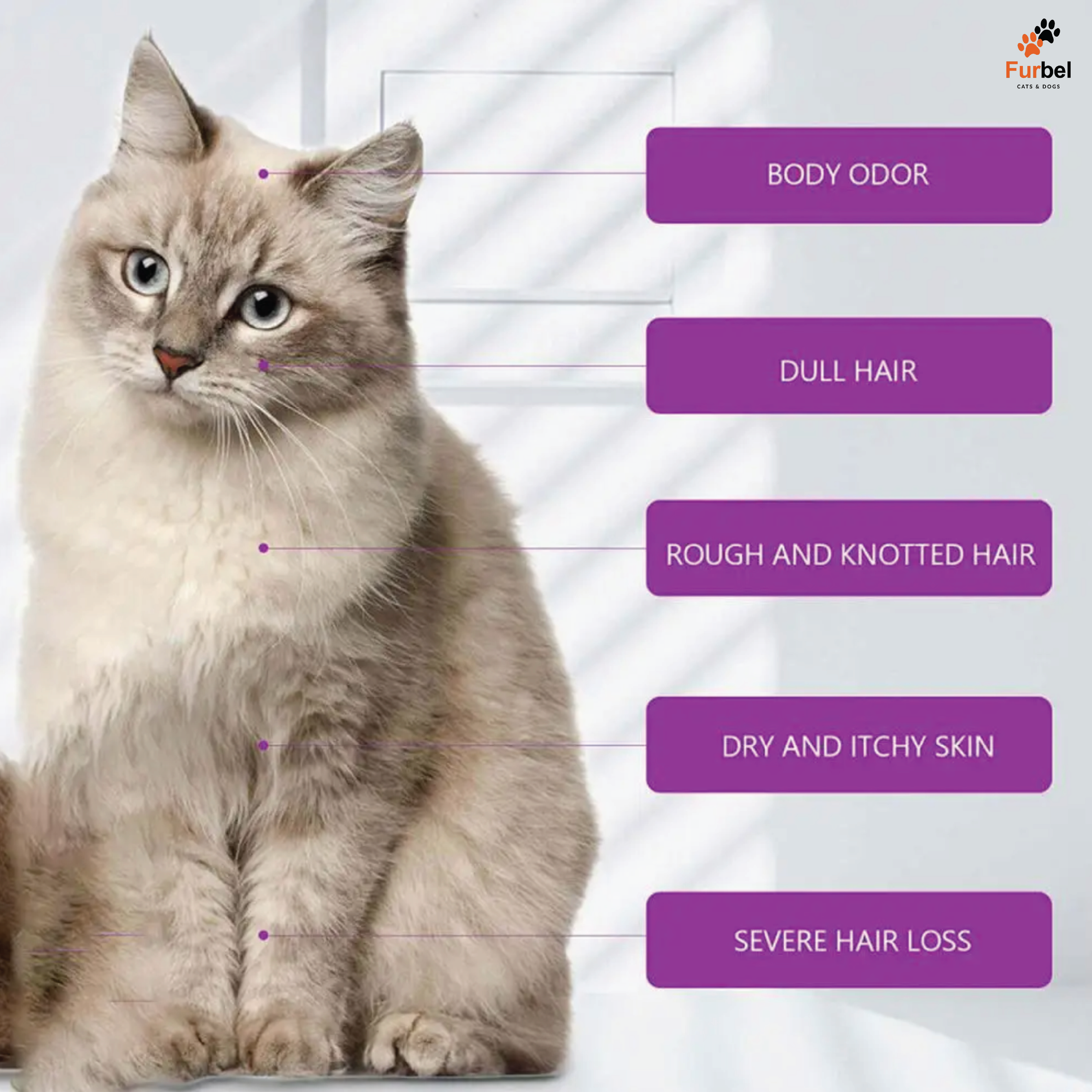 Grooming Shampoo For Puppies And Kittens