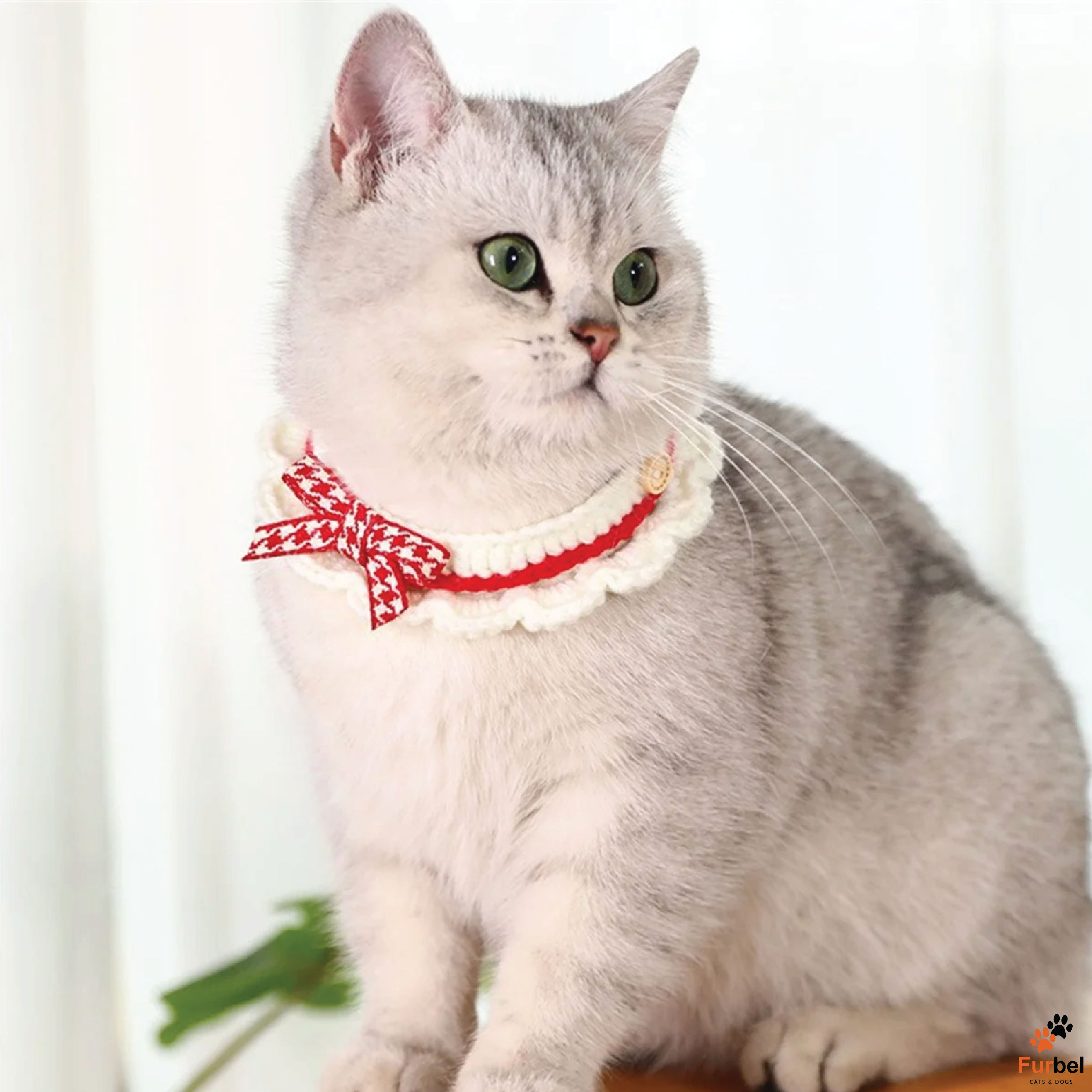 Cute Hand-Knitted Bow Collar for Cats