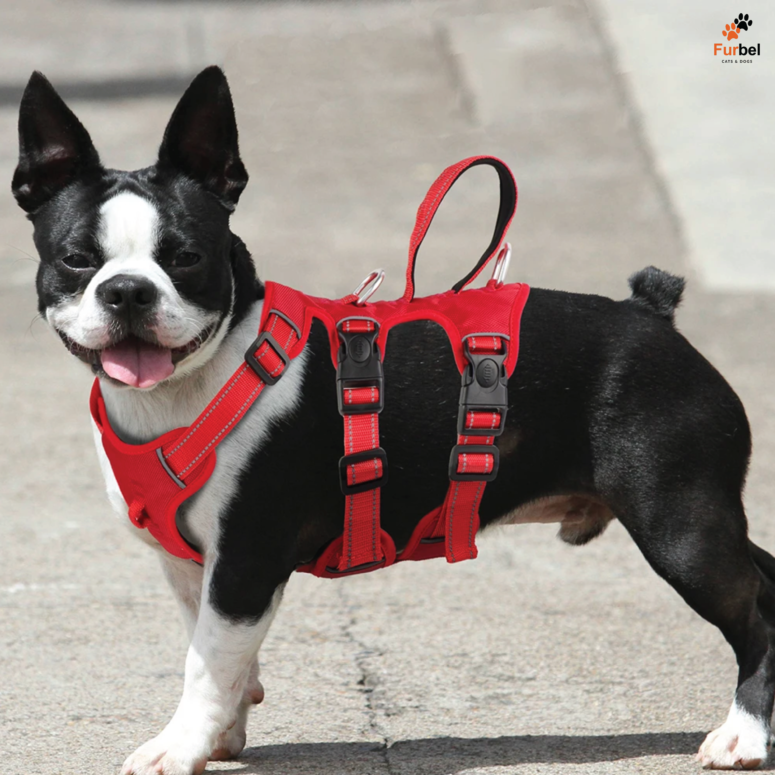 Waterproof Reflective Harness For Dogs