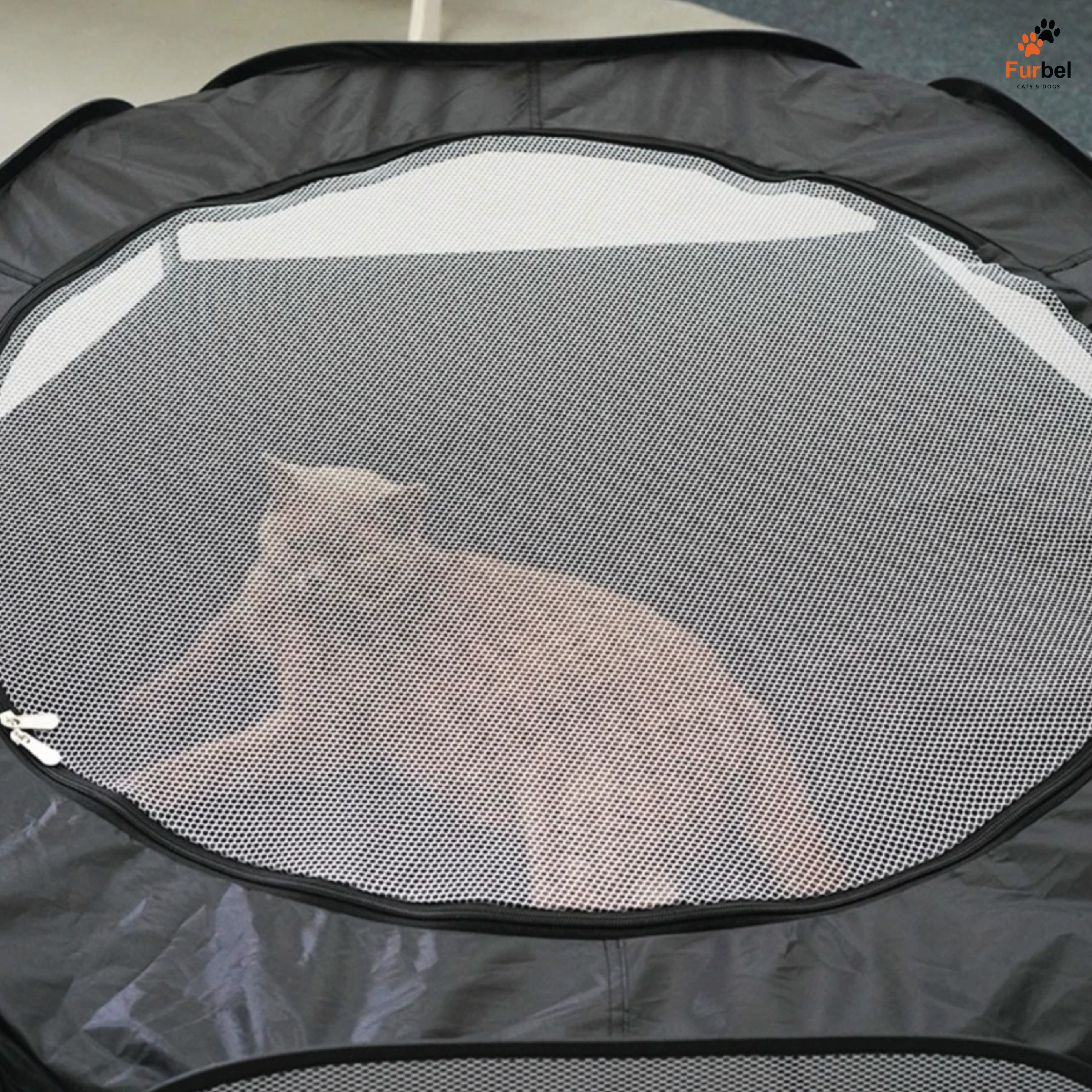 Collapsible Cat Tunnel