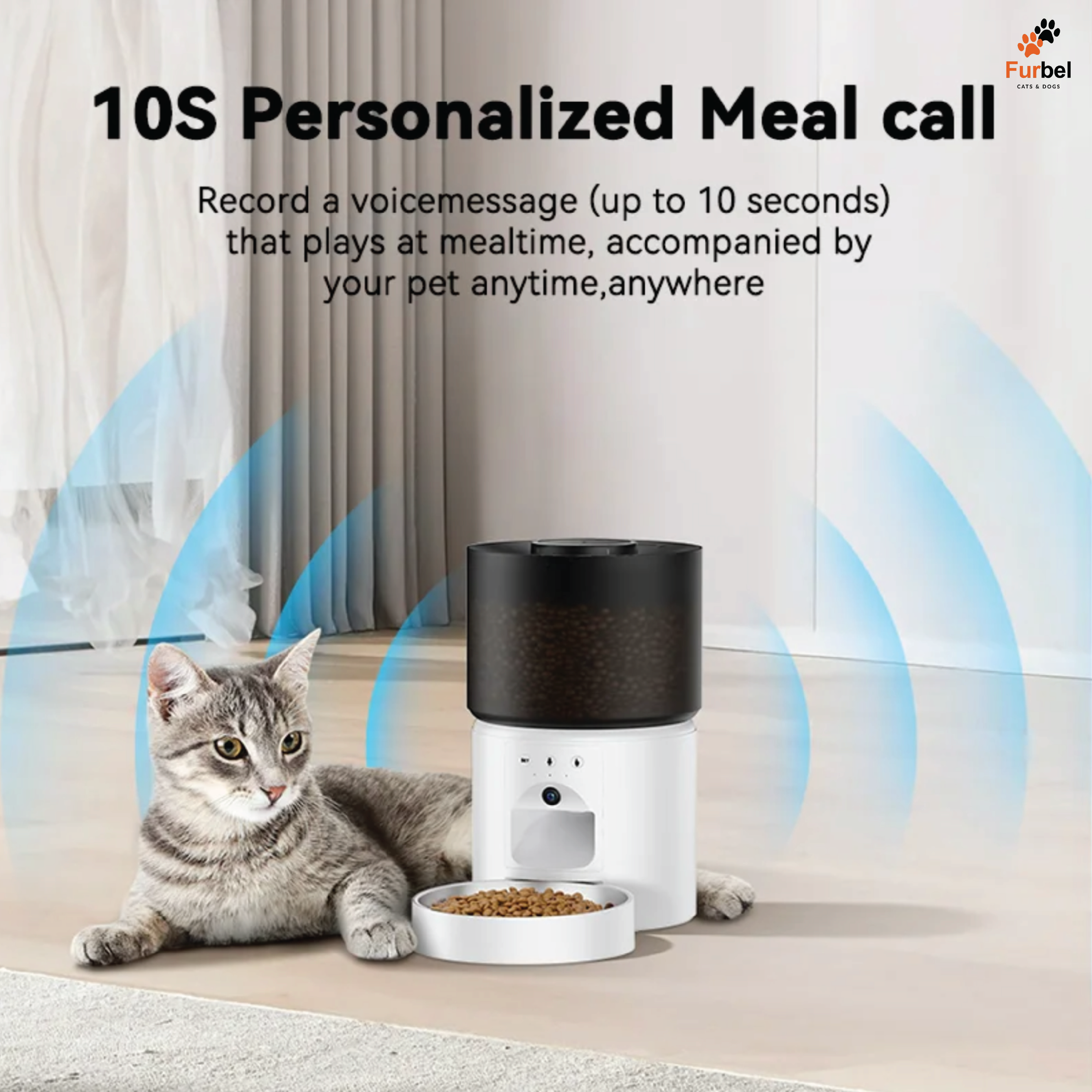 Smart Pet Feeder For Cats And Dogs