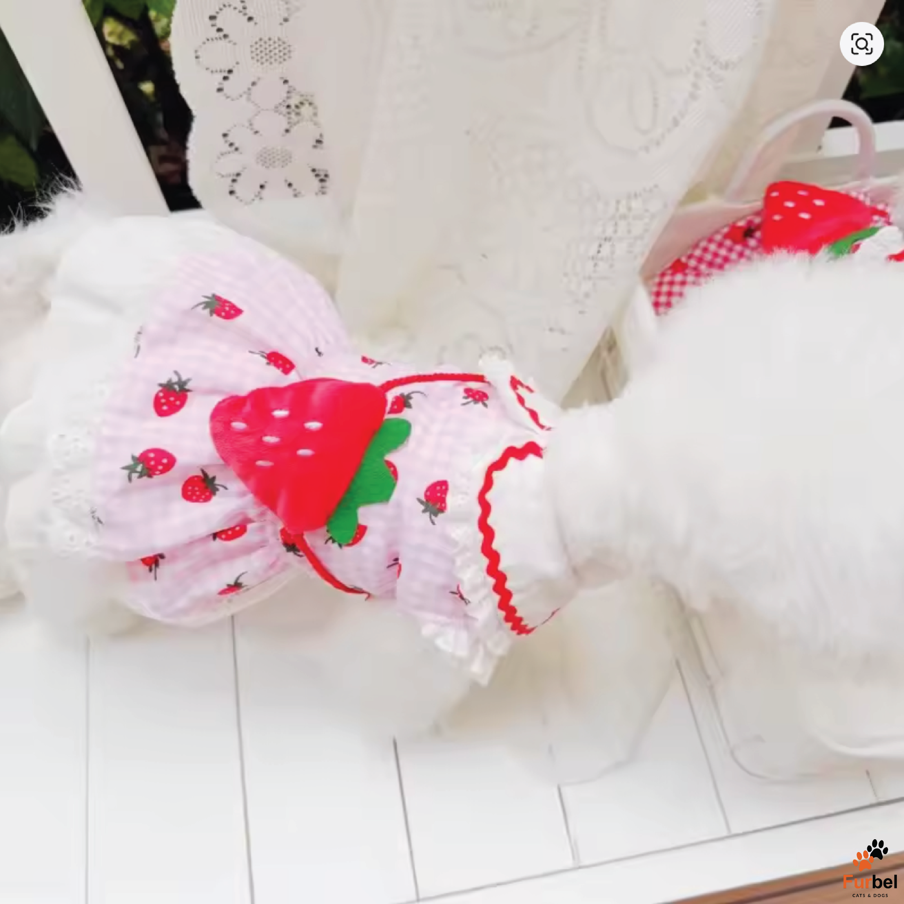 Strawberry Dog Dress in Red and Pink