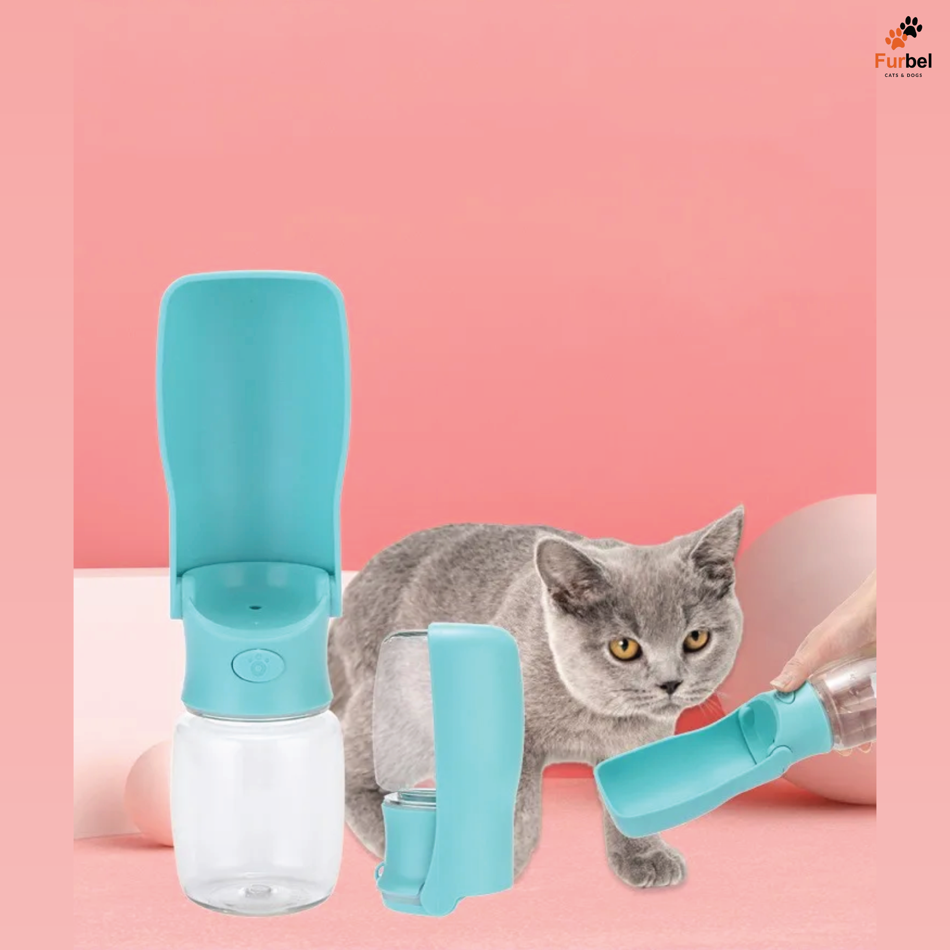 Folding Bottle For All Pets
