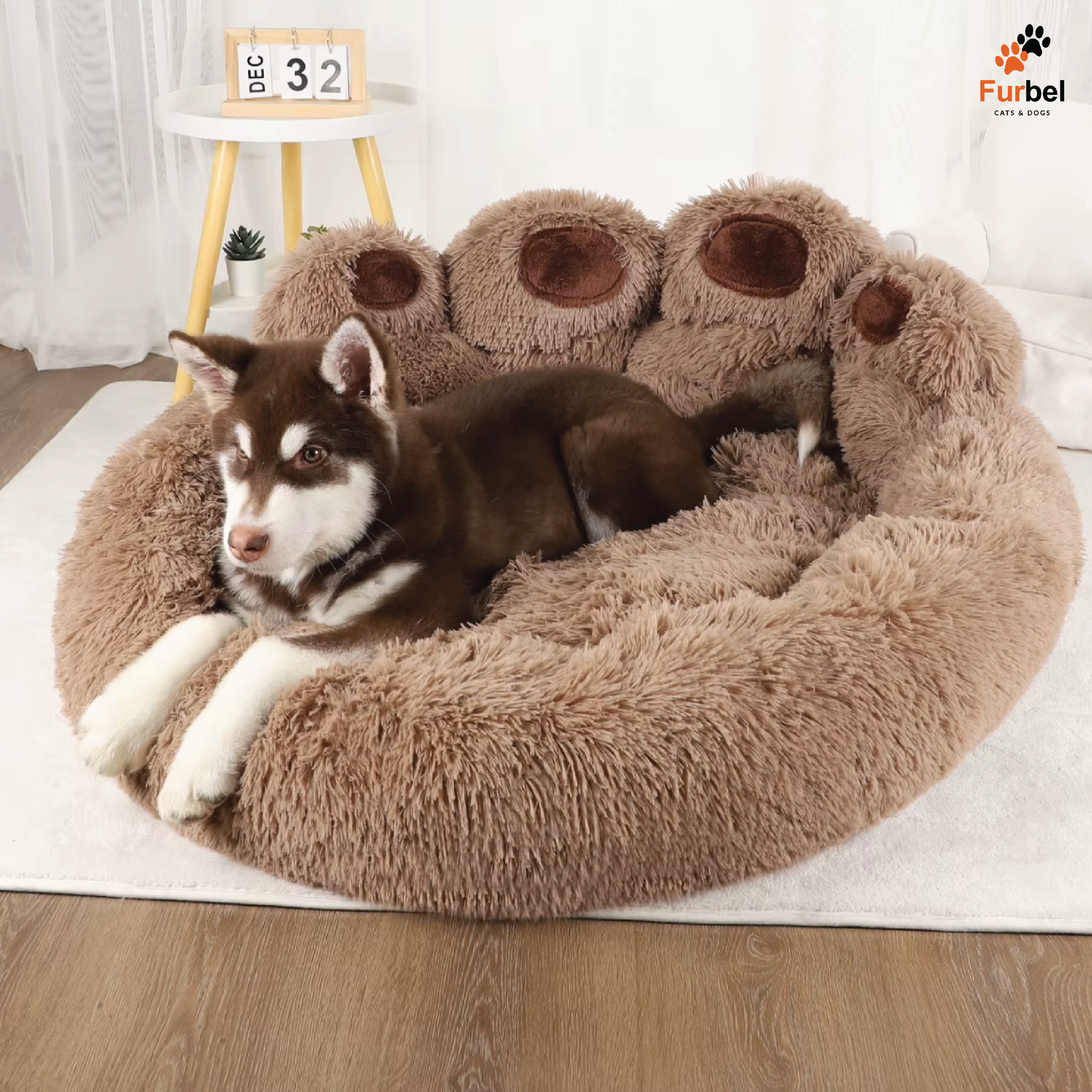 Fluffy Dog Bed