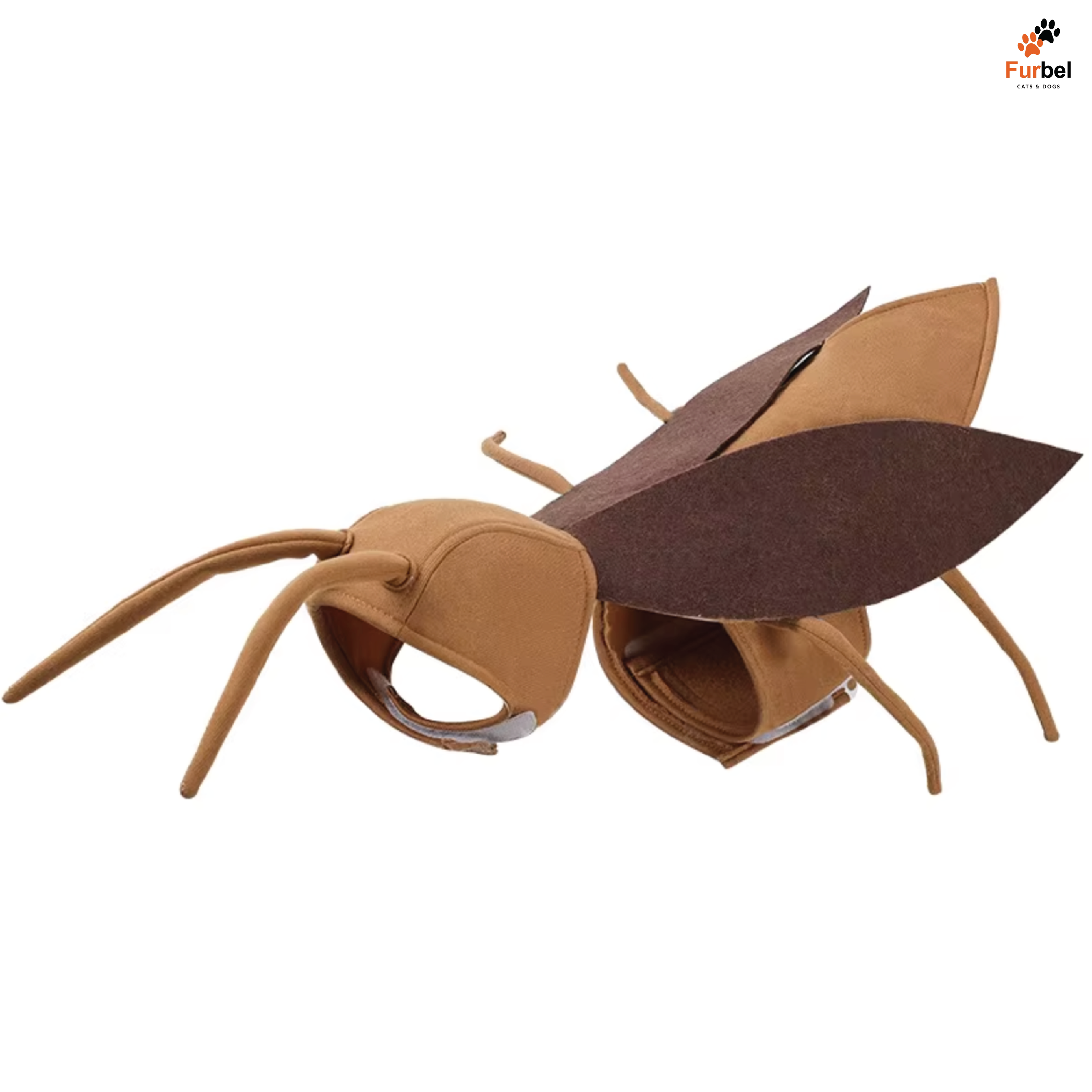 Cockroach Halloween Costume For Cats and Small Dogs