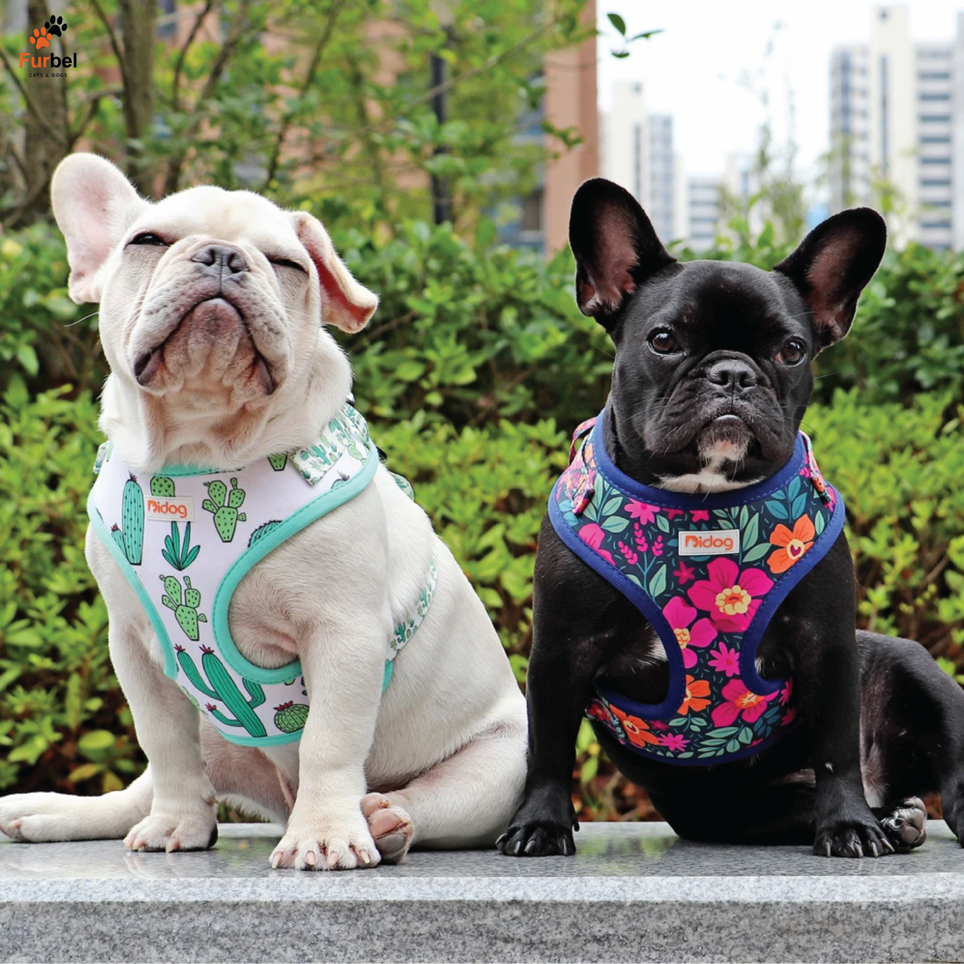 Bright Print Padded Harness For Dogs