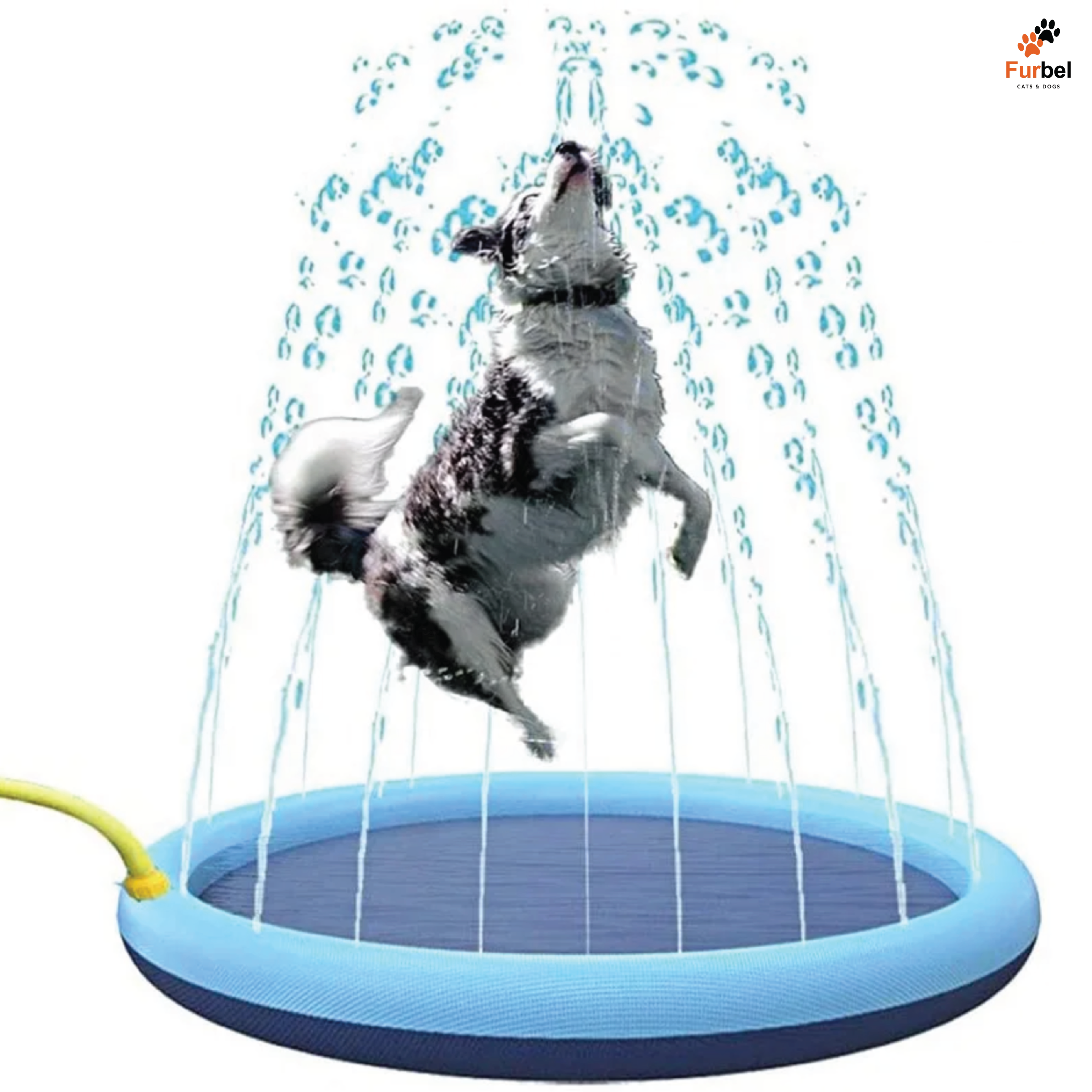 Inflatable Cooling Pool For All Pets