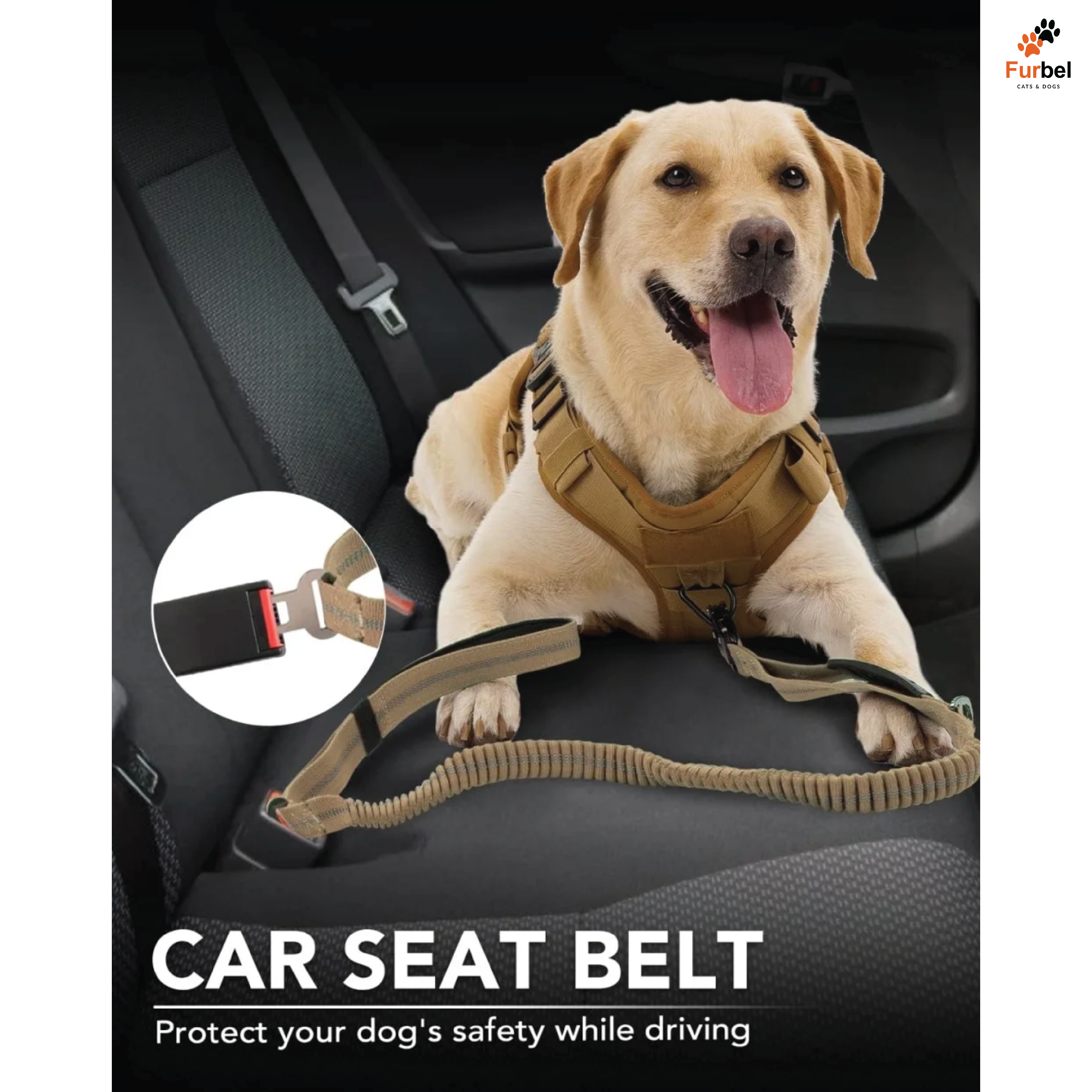 Tactical Bungee Leash