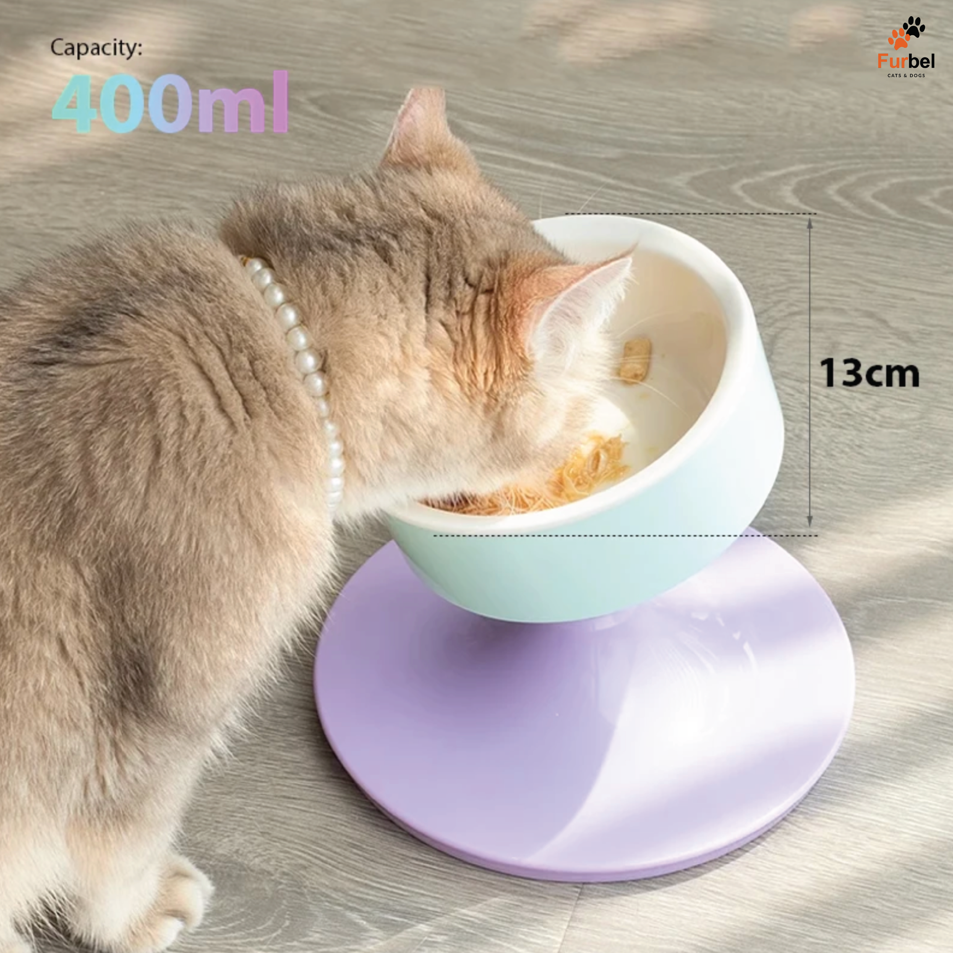 Elevated Ceramic Bowl For Cats And Dogs