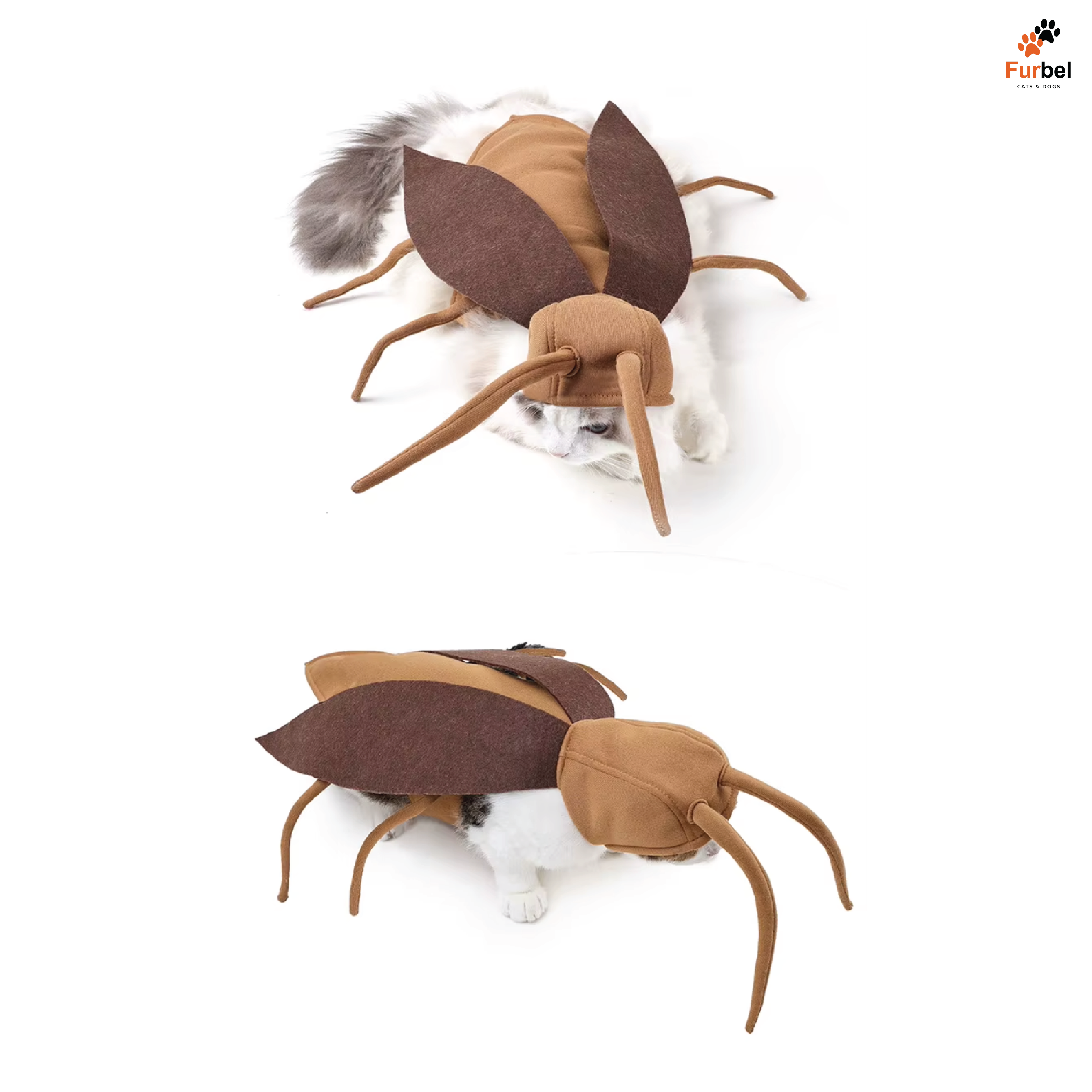 Cockroach Halloween Costume For Cats and Small Dogs