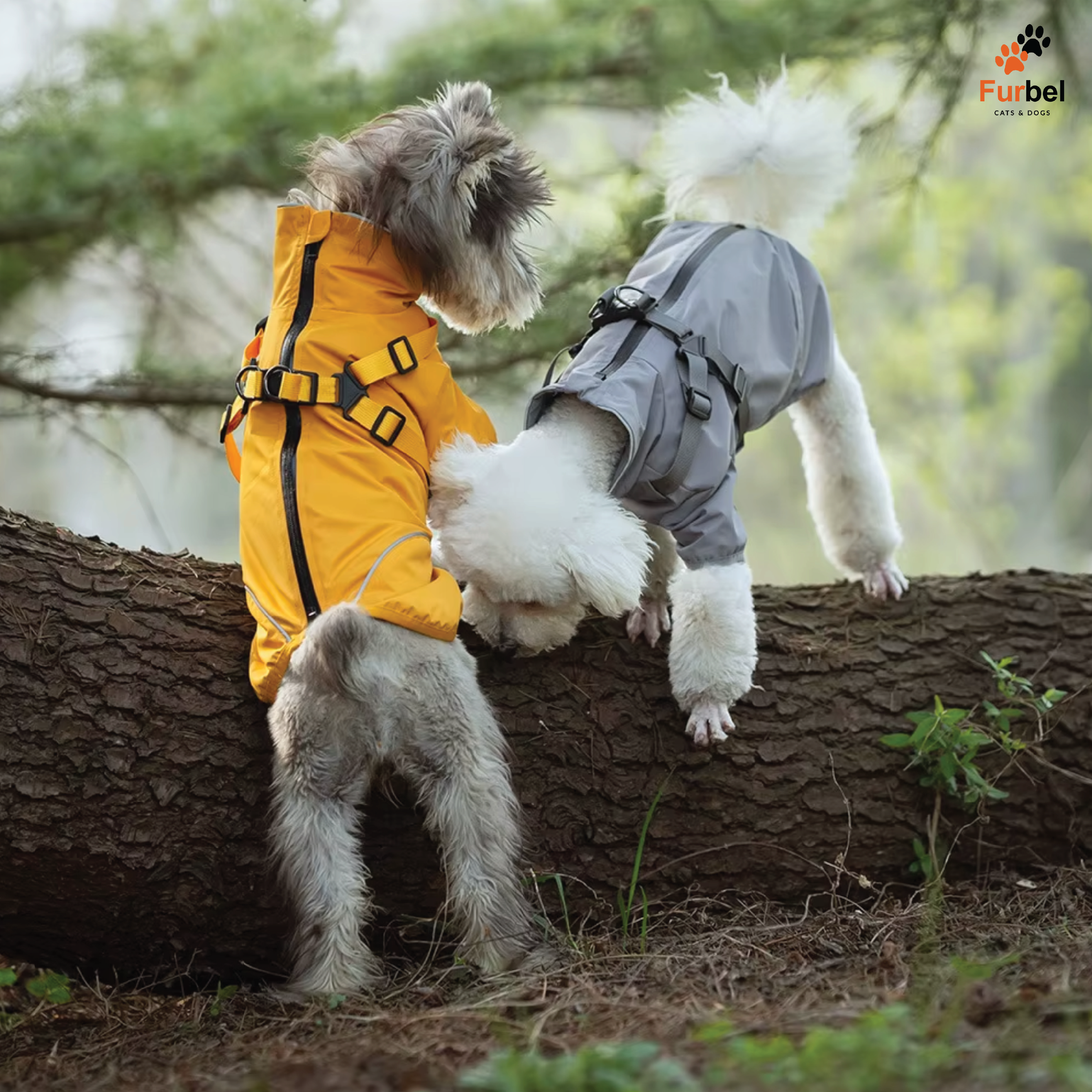 Waterproof Jacket For Dogs