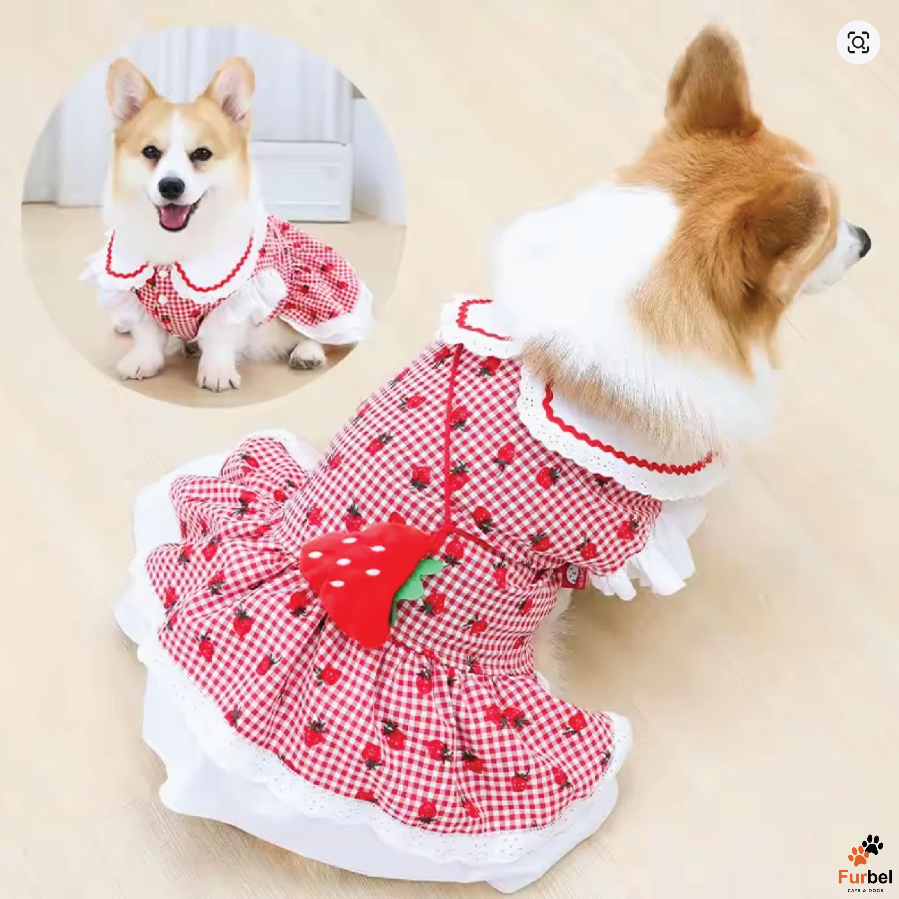 Strawberry Dog Dress in Red and Pink