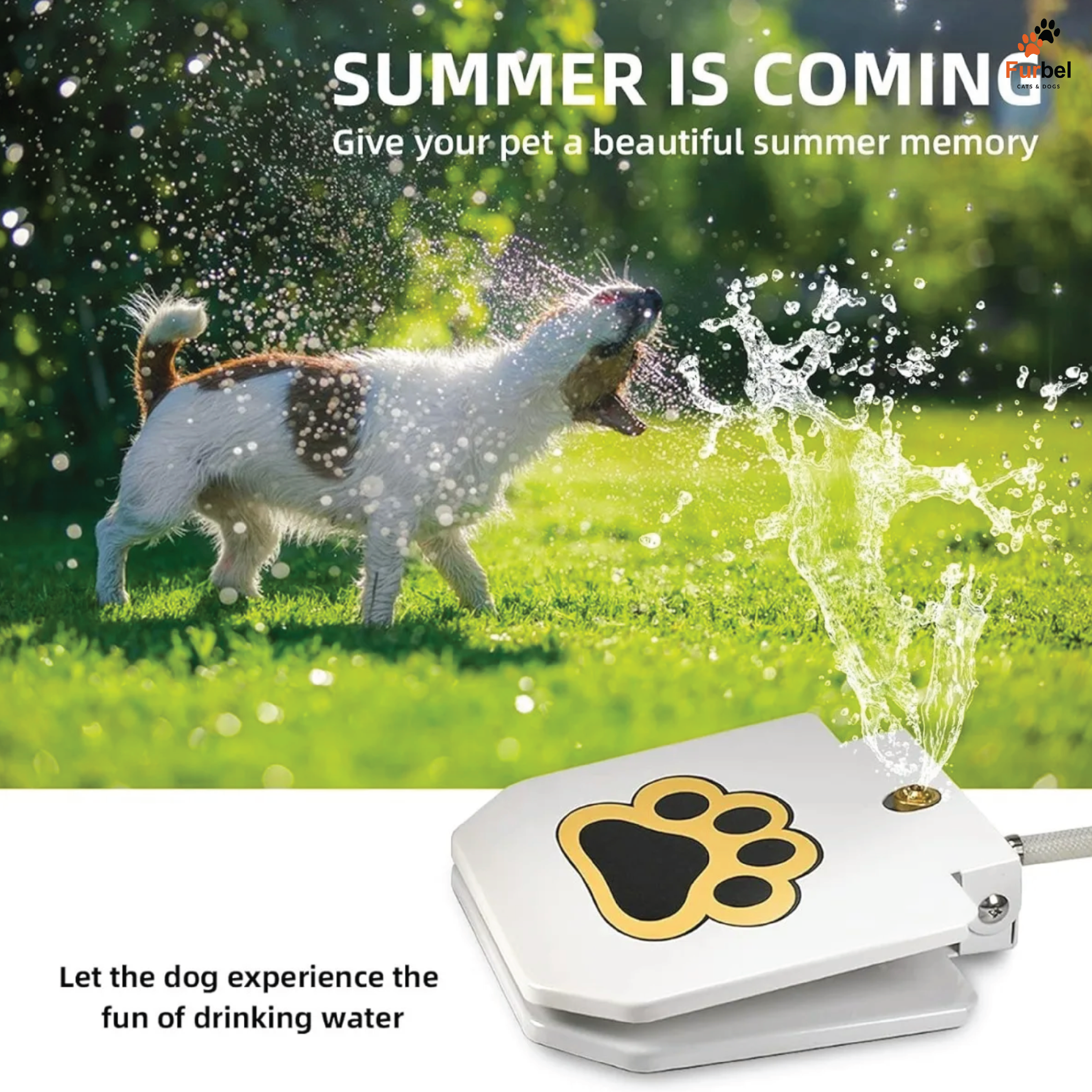 Step-On Fountain for Dogs