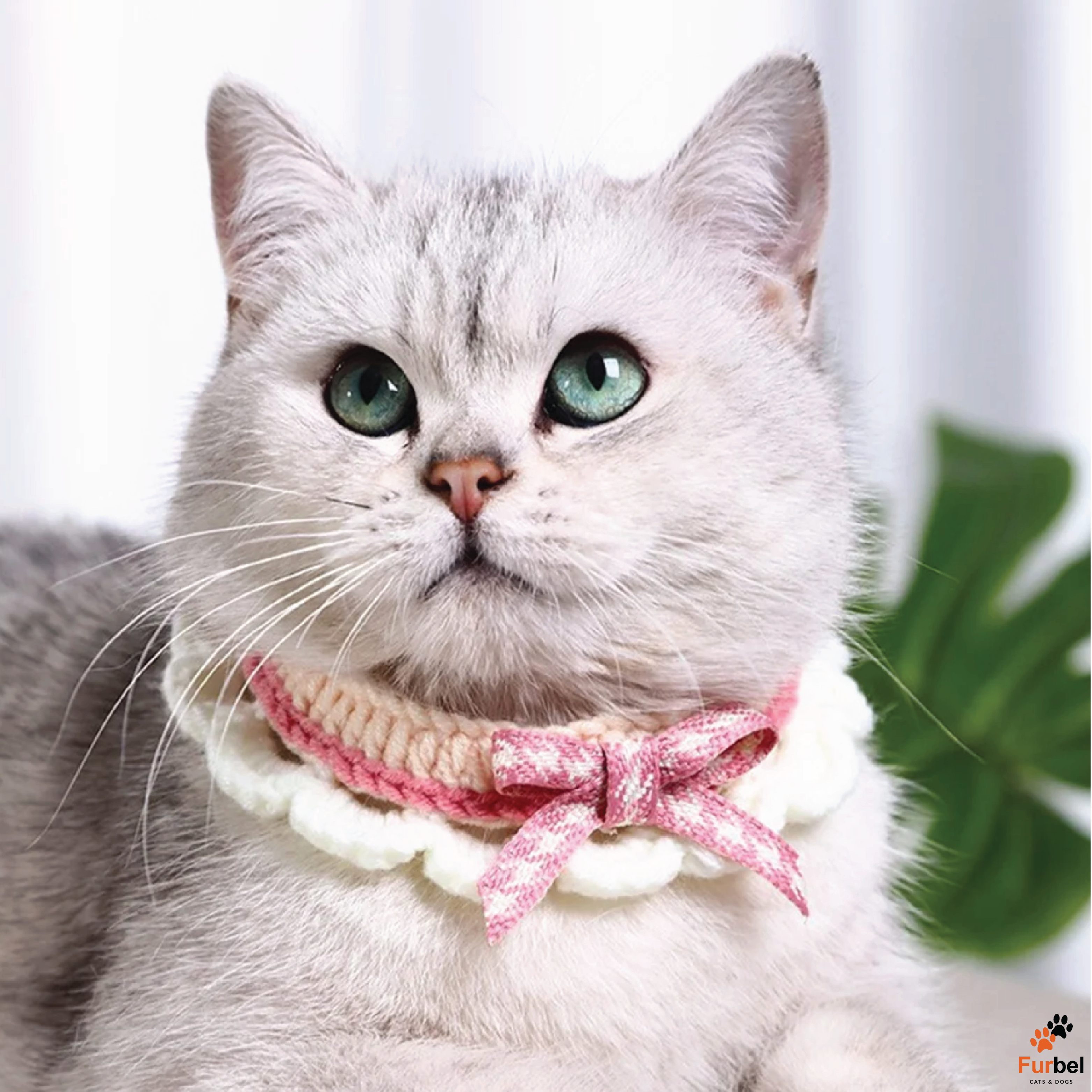 Cute Hand-Knitted Bow Collar for Cats