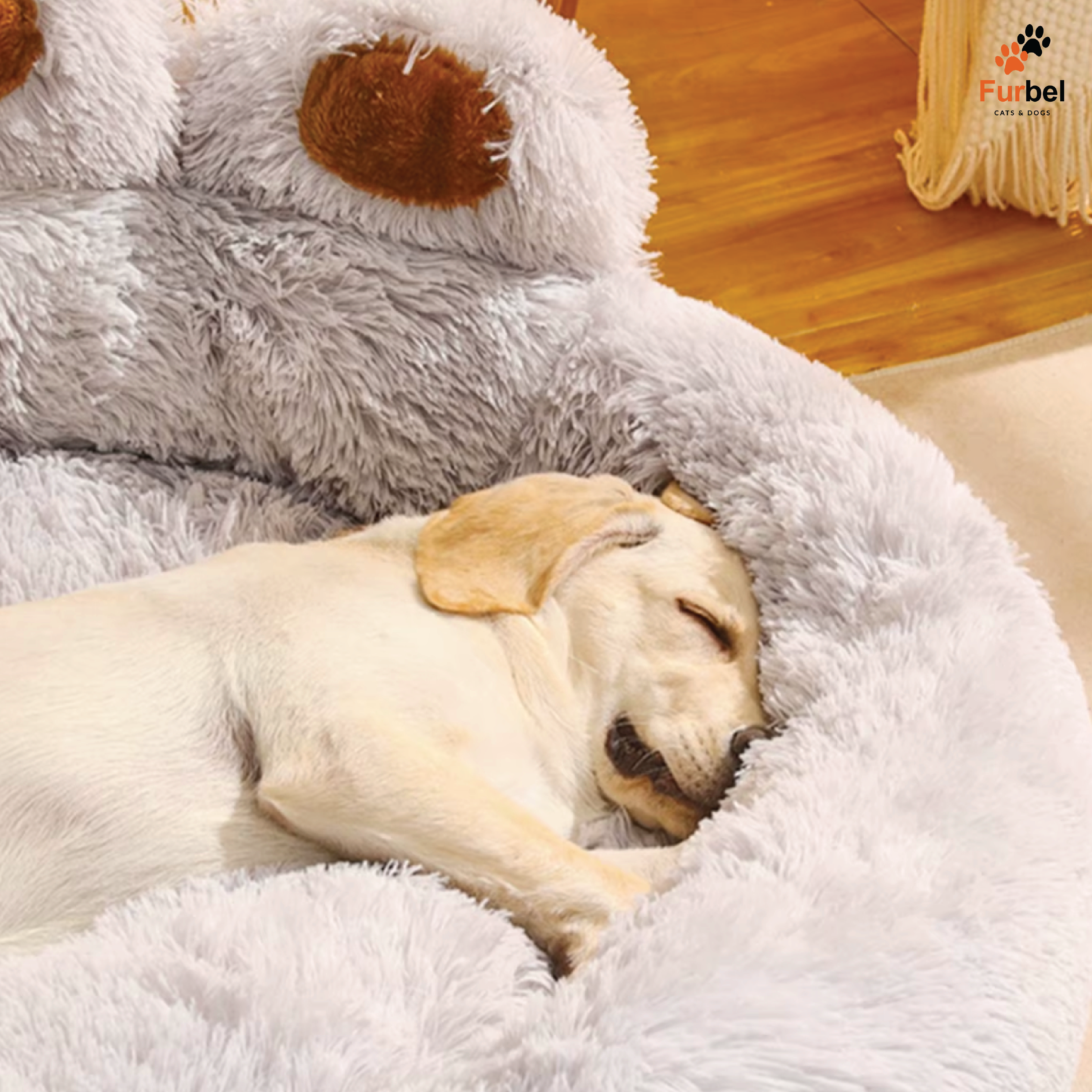 Fluffy Dog Bed