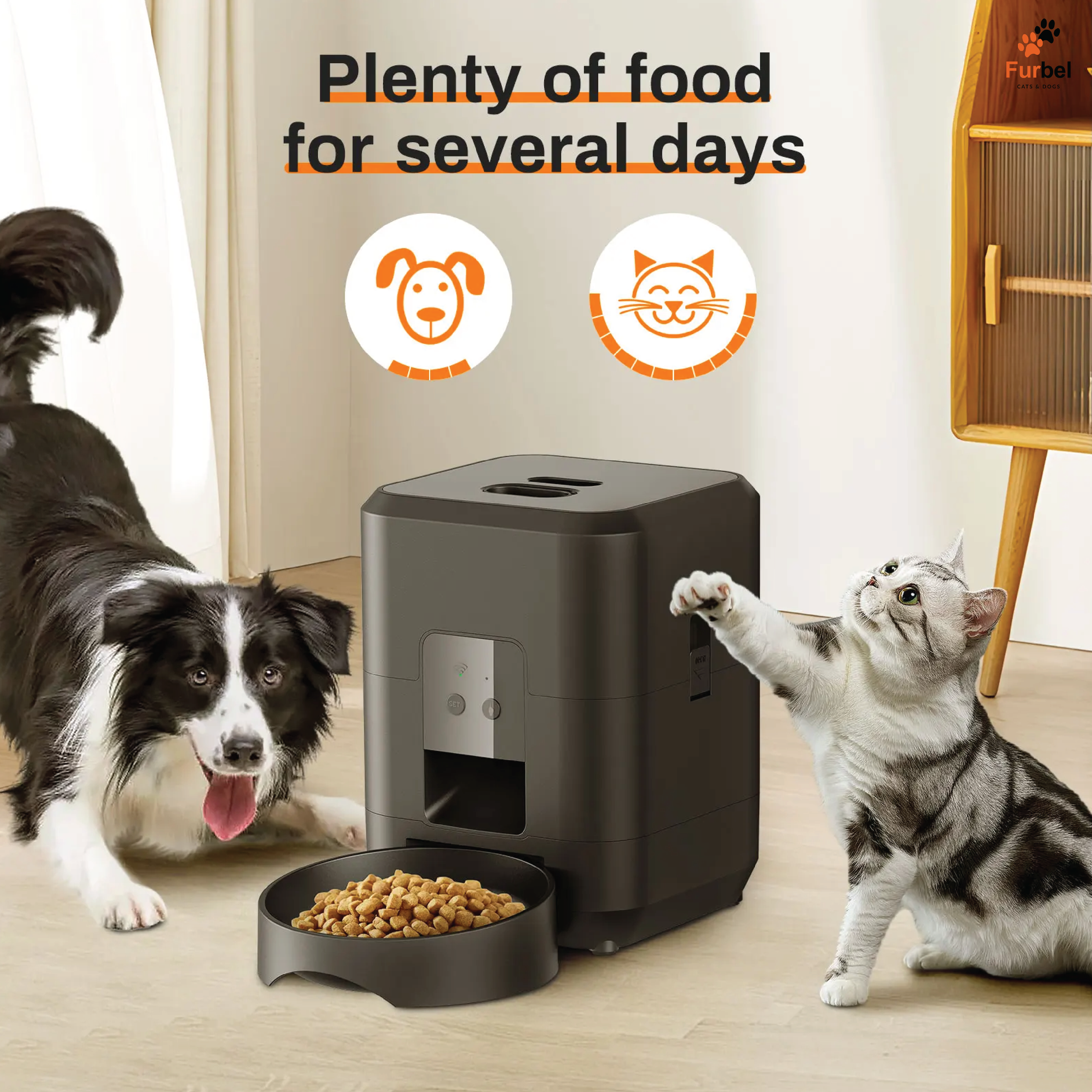 Automatic Pet Feeder For Cats And Dogs