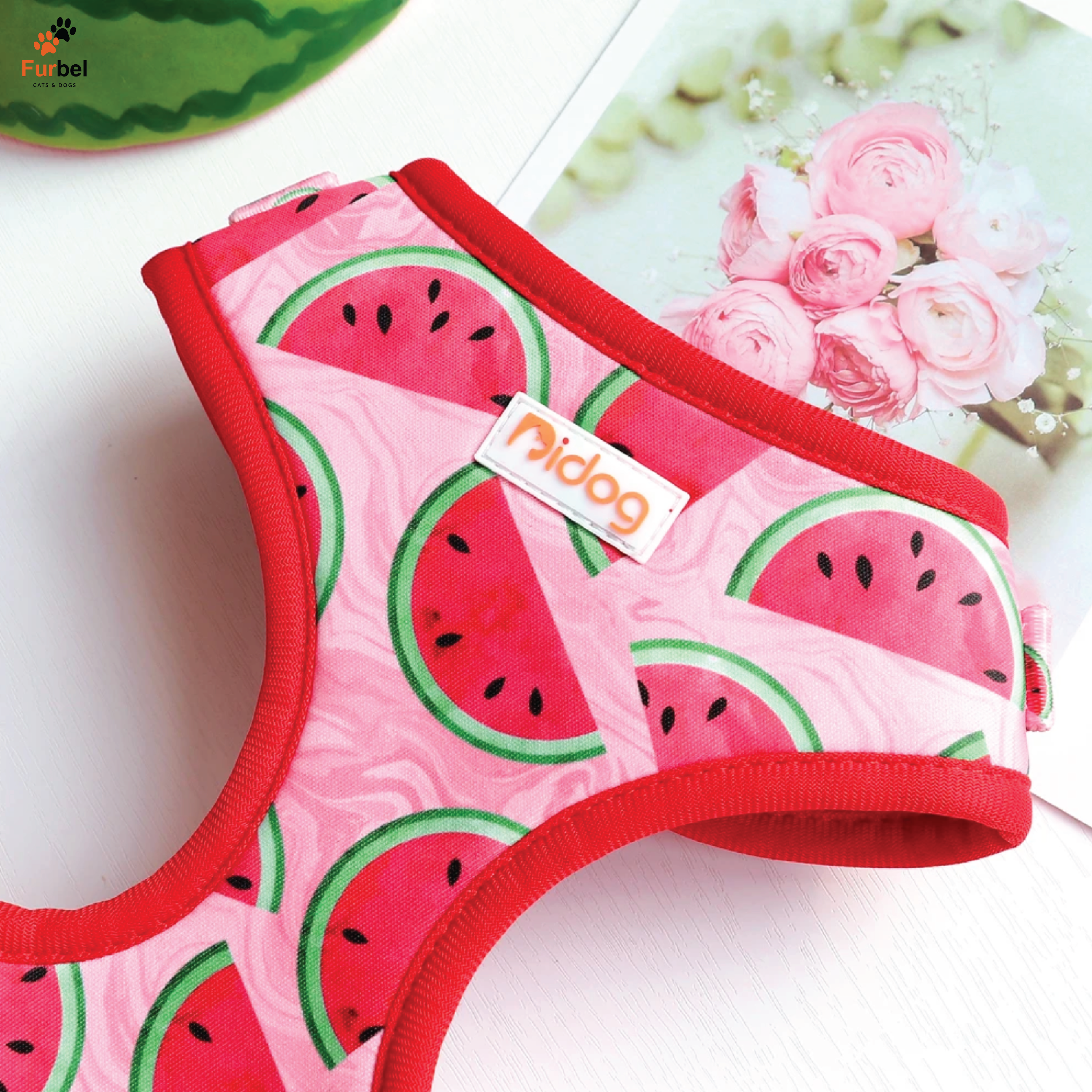 Bright Print Padded Harness For Dogs