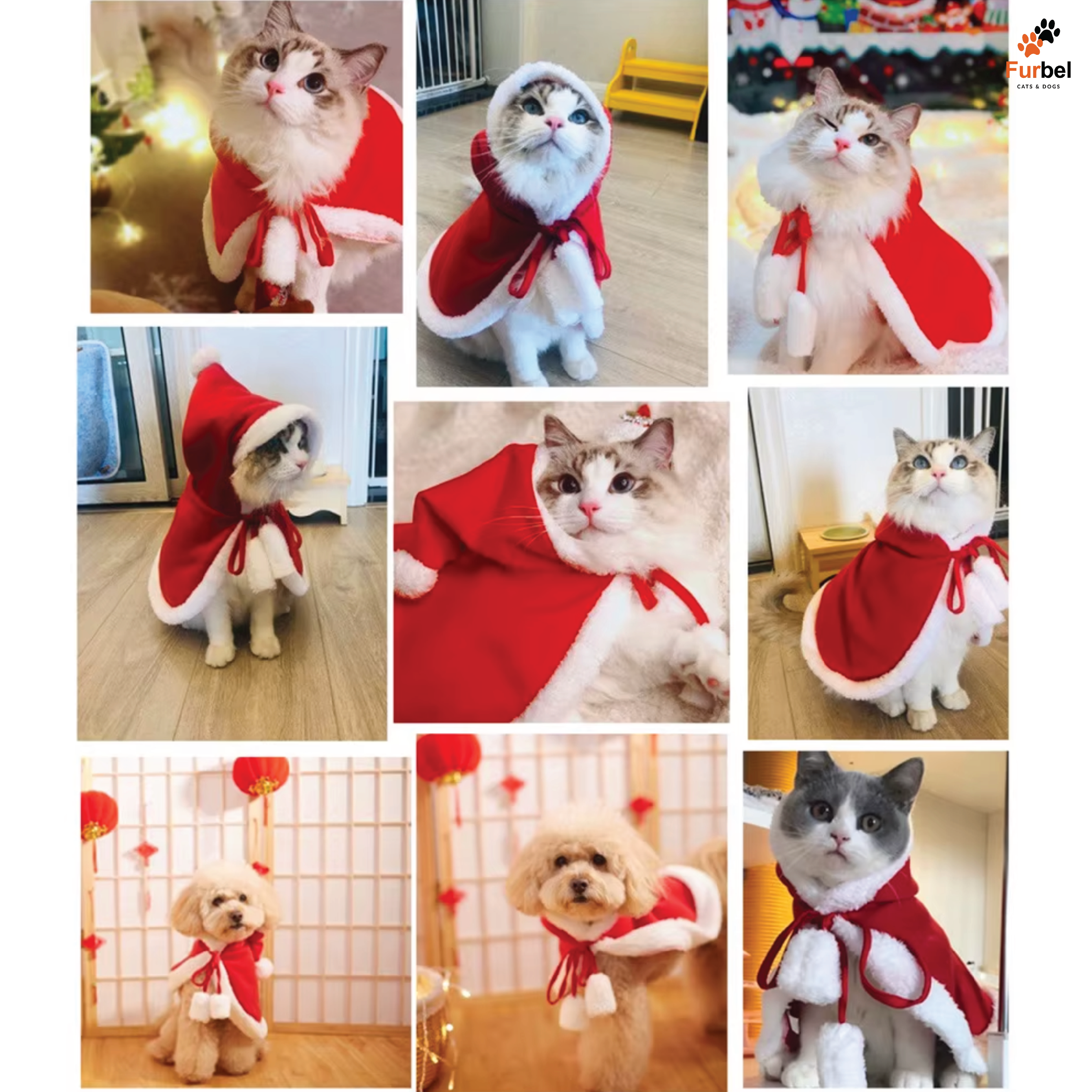Pet Santa Costume For Small Cats & Dogs