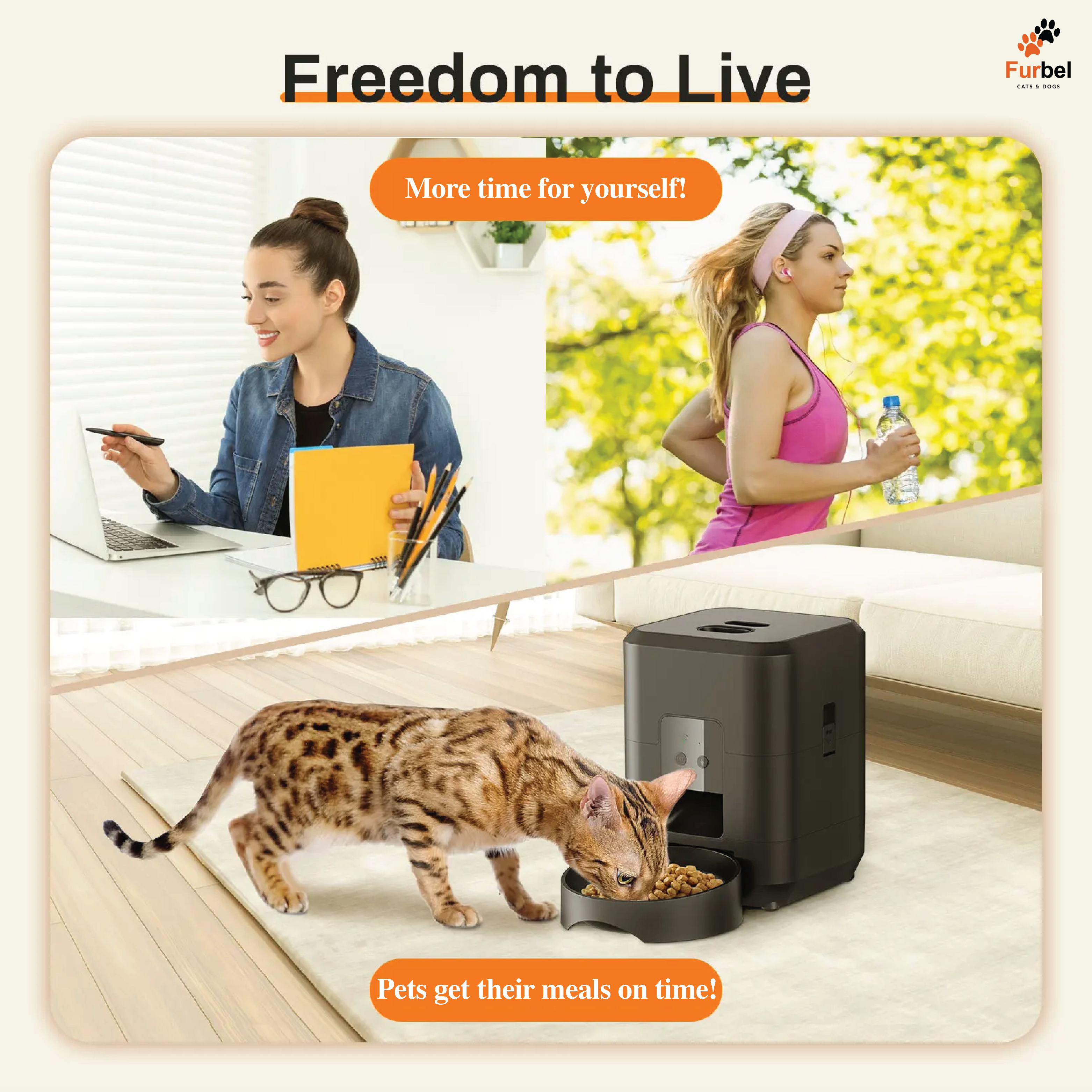 Automatic Pet Feeder For Cats And Dogs