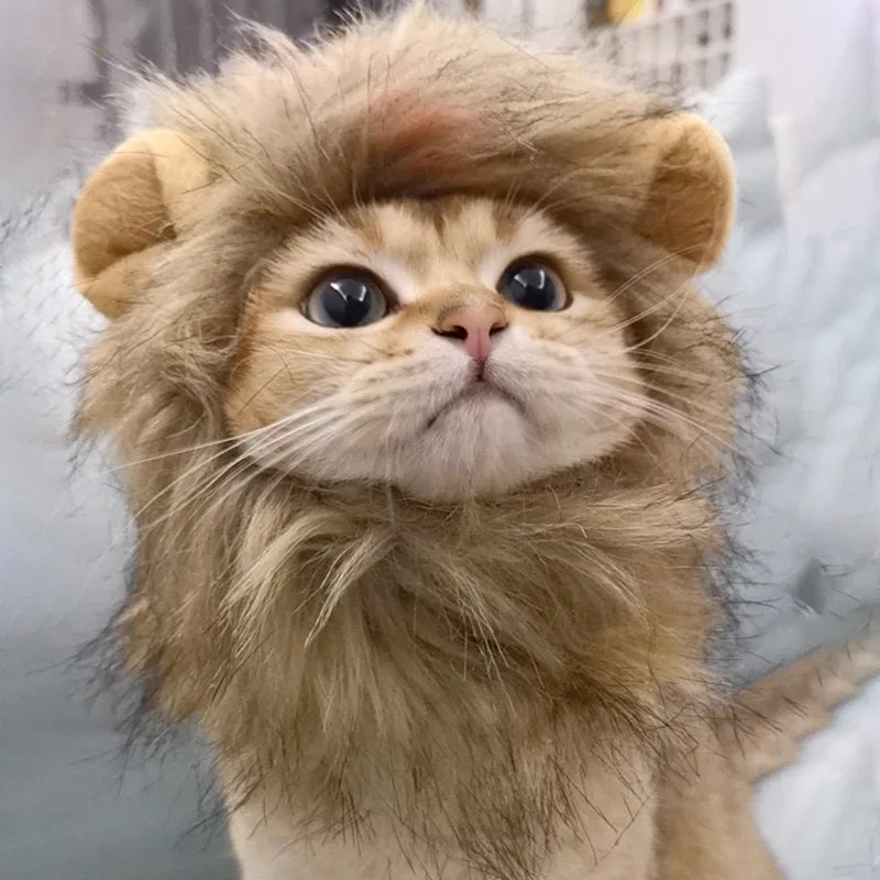 Lion Mane Hat