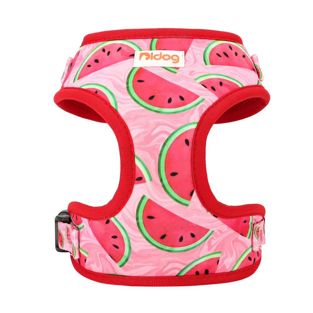 Bright Print Padded Harness For Dogs