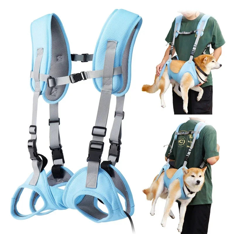 Pet Carrying Harness