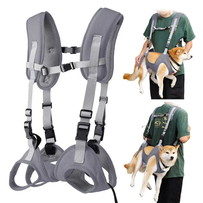 Pet Carrying Harness