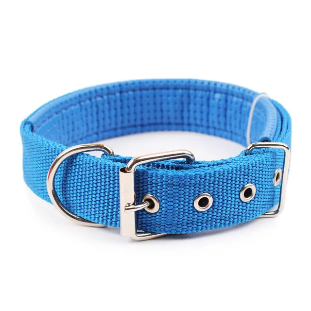 Durable Nylon Collar For Dogs