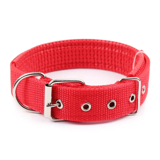 Durable Nylon Collar For Dogs