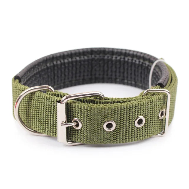 Durable Nylon Collar For Dogs